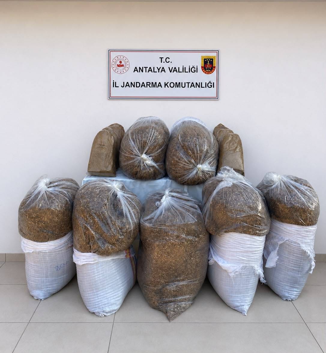 Antalya’da üç ilçede kaçak tütün operasyonu: 785 kilogram tütün ele geçirildi
