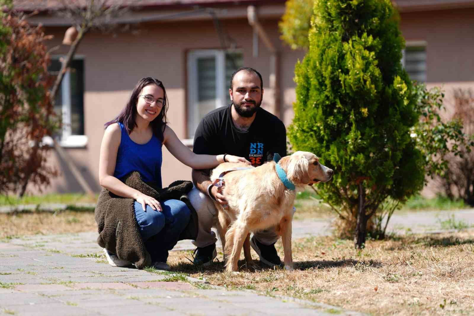 Bolu’da 8 ayda 621 kedi ve köpek sahiplendirildi