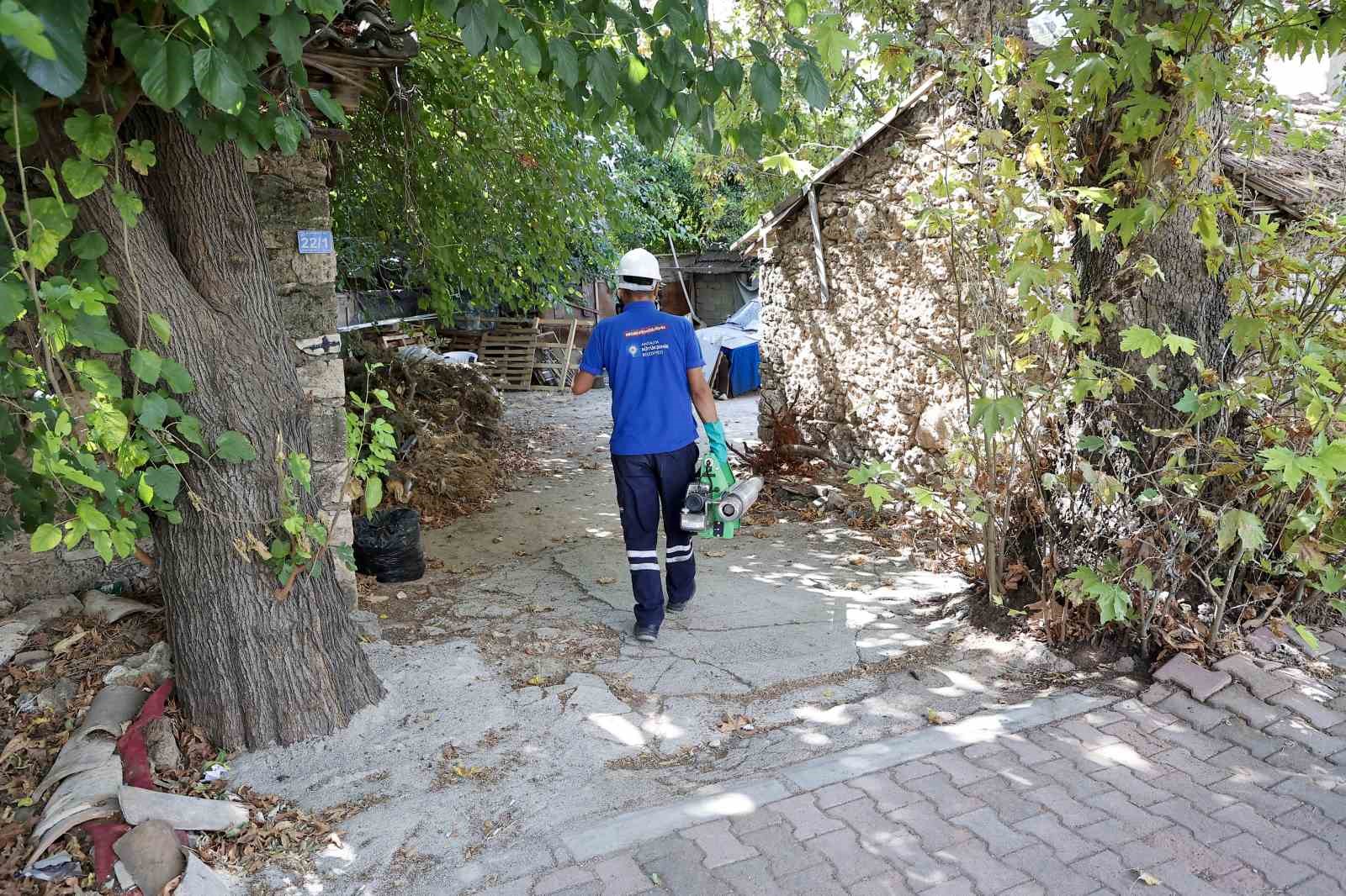 Sinek ve haşerelere karşı mücadele sürüyor
