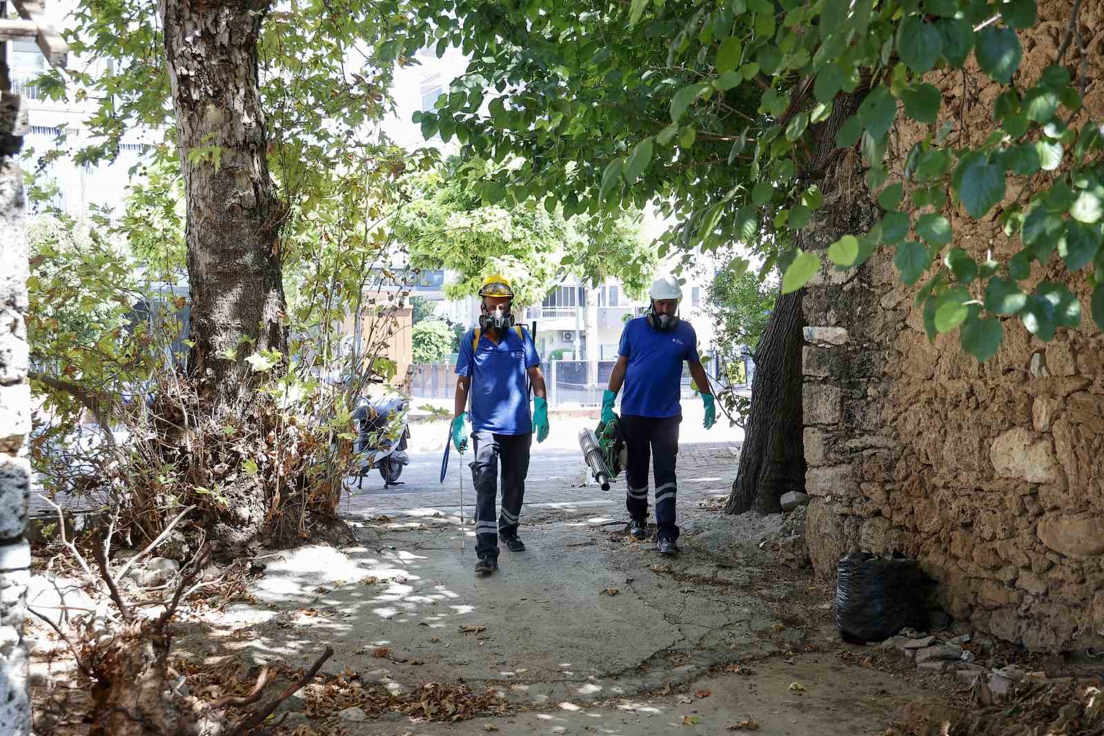Sinek ve haşerelere karşı mücadele sürüyor