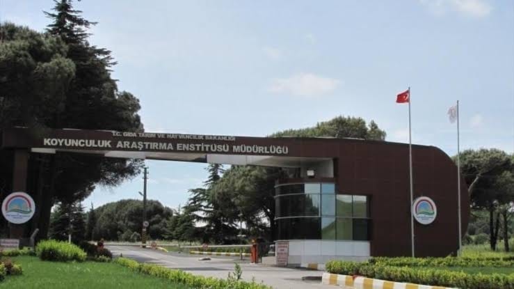 Bandırma Koyunculuk Araştırma Enstitüsü’nün TÜBİTAK projesine destek