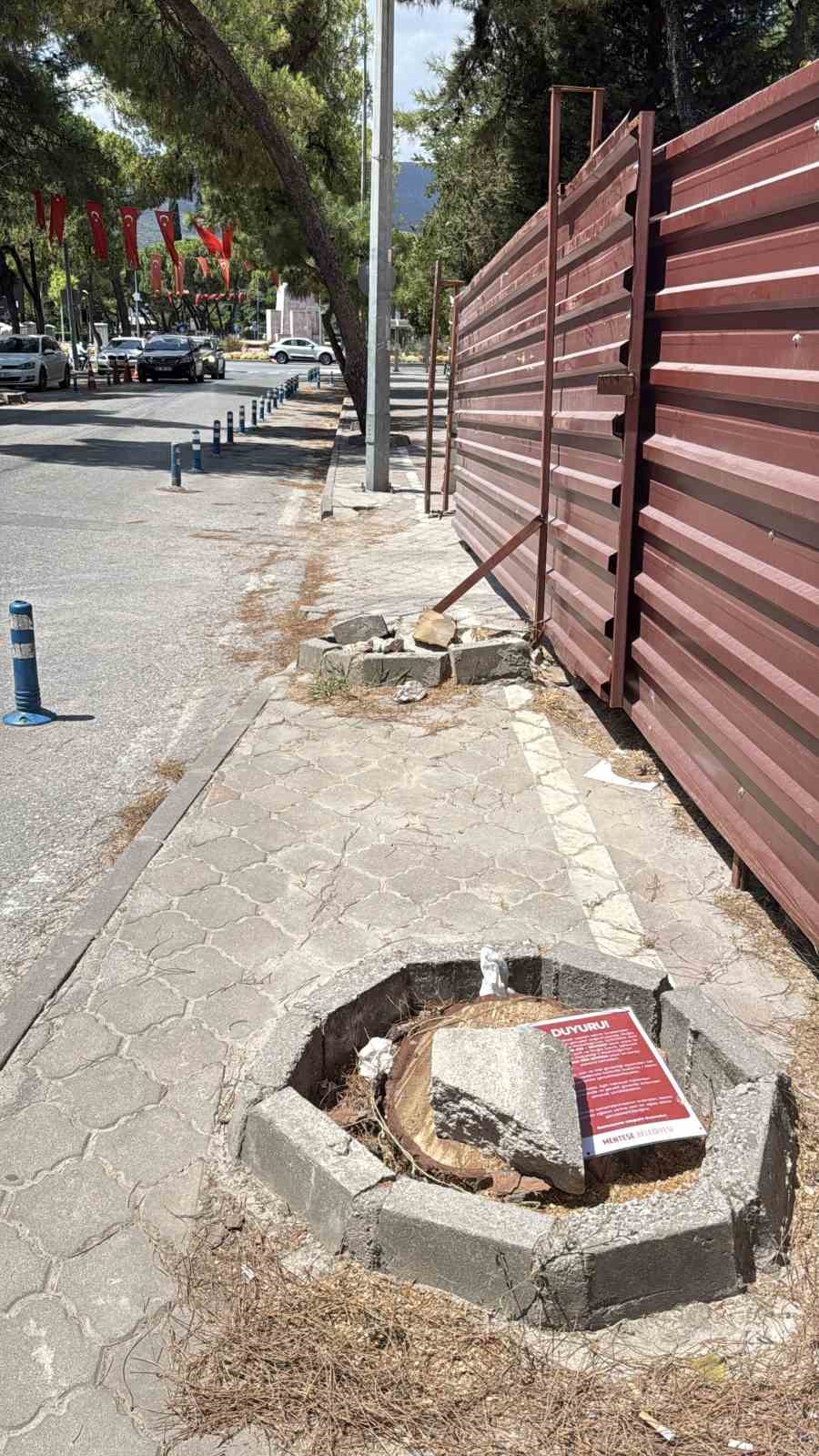 Menteşe’de riskli ağaçlar için kesim ve budama çalışması