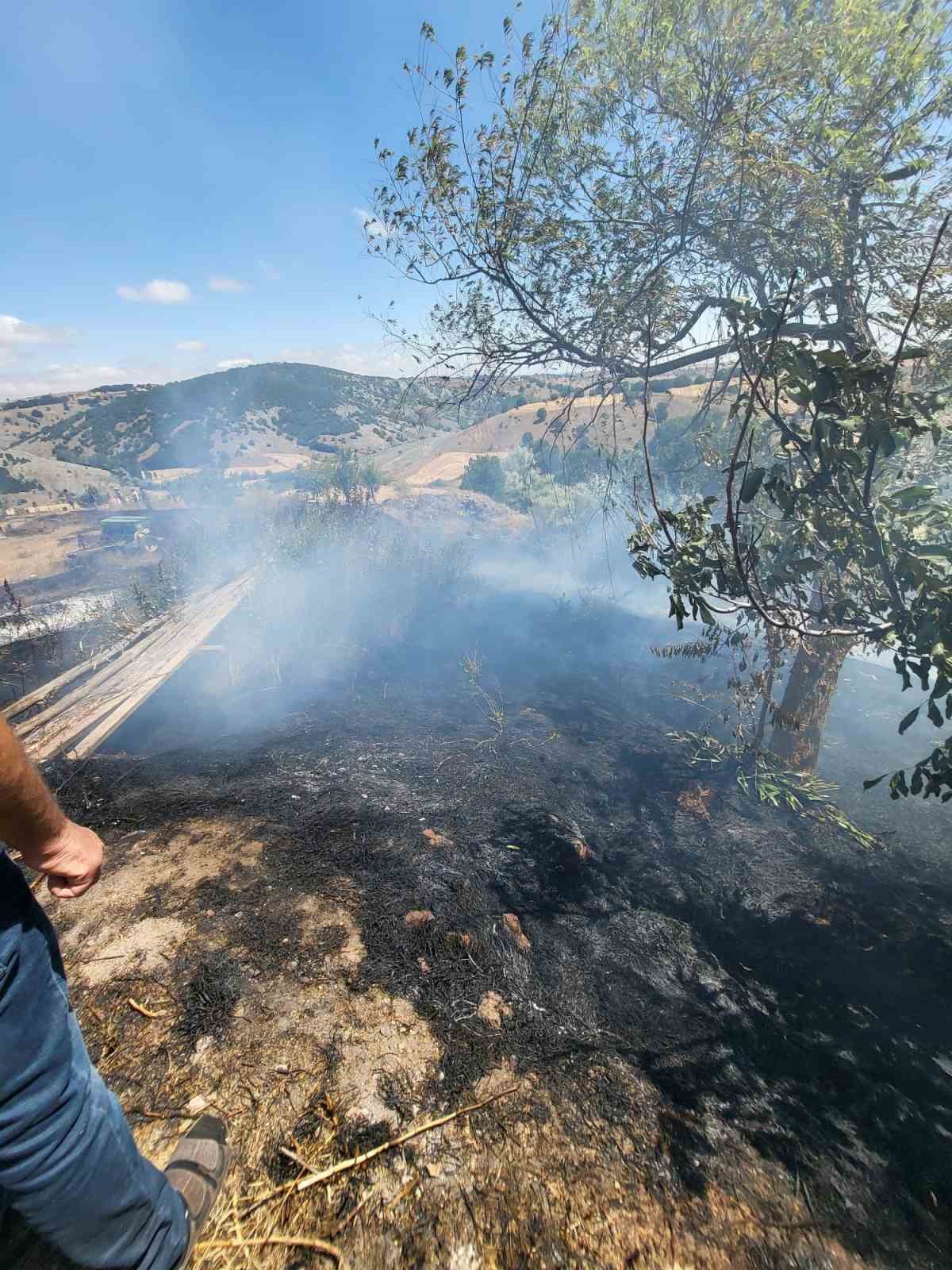 Ot yangını kısa sürede söndürüldü