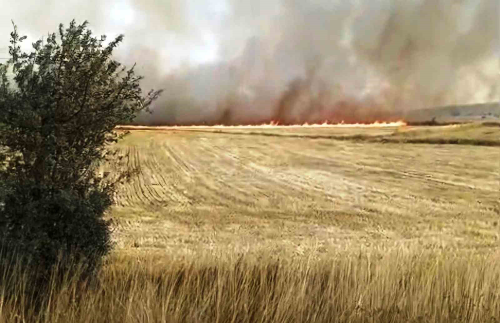 Kütahya’da anız yangınında 230 dekarlık alan yandı