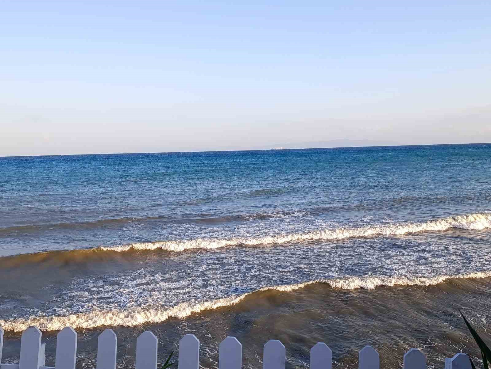 Tekirdağ’da poyraz ağaçları devirdi