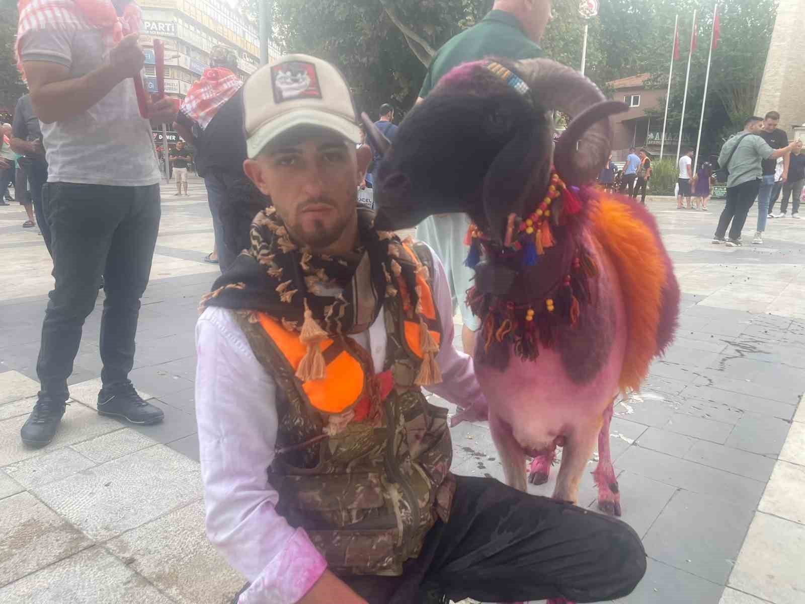Koyunlar sudan önce bulvardan geçti
