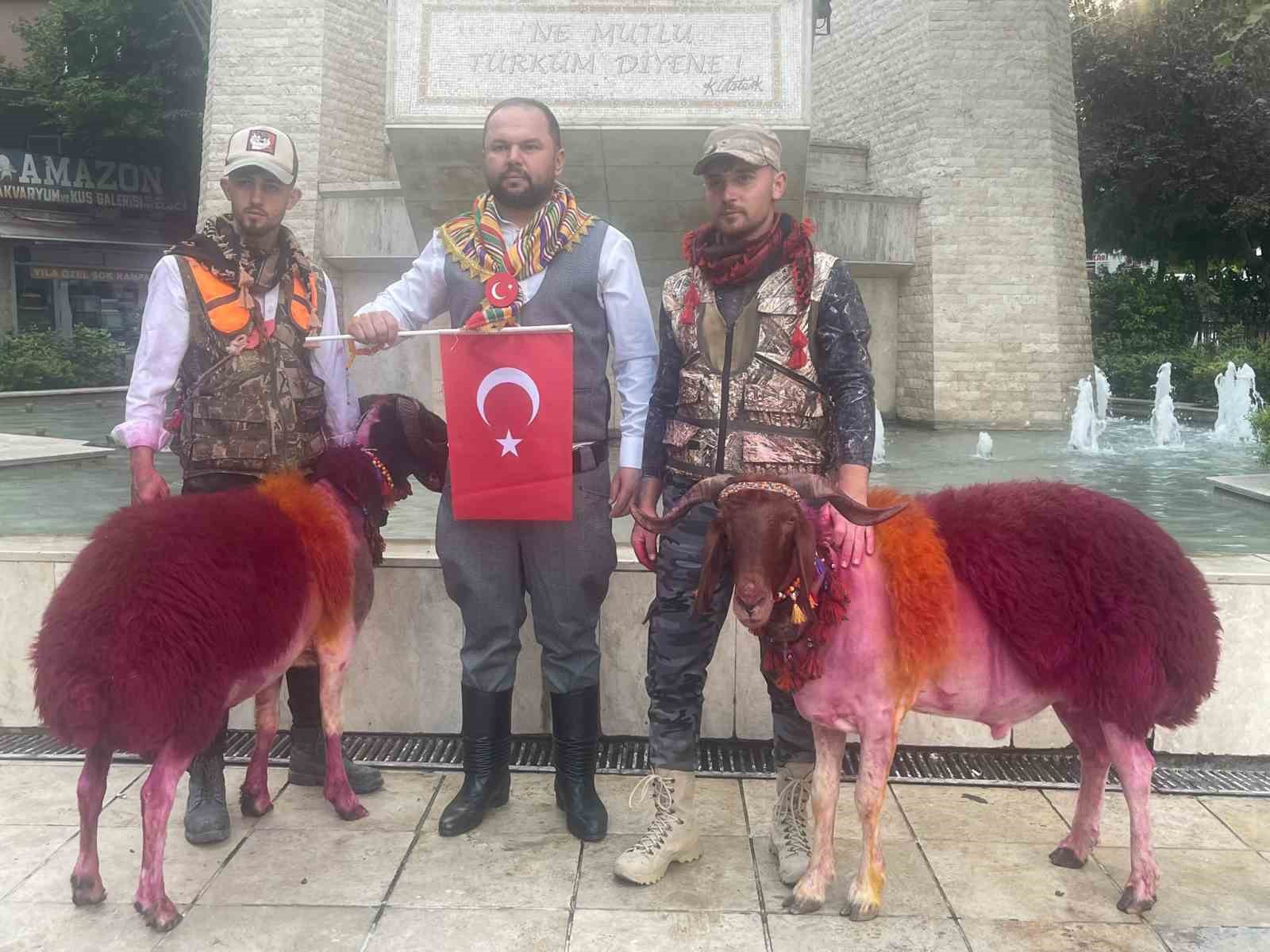Koyunlar sudan önce bulvardan geçti