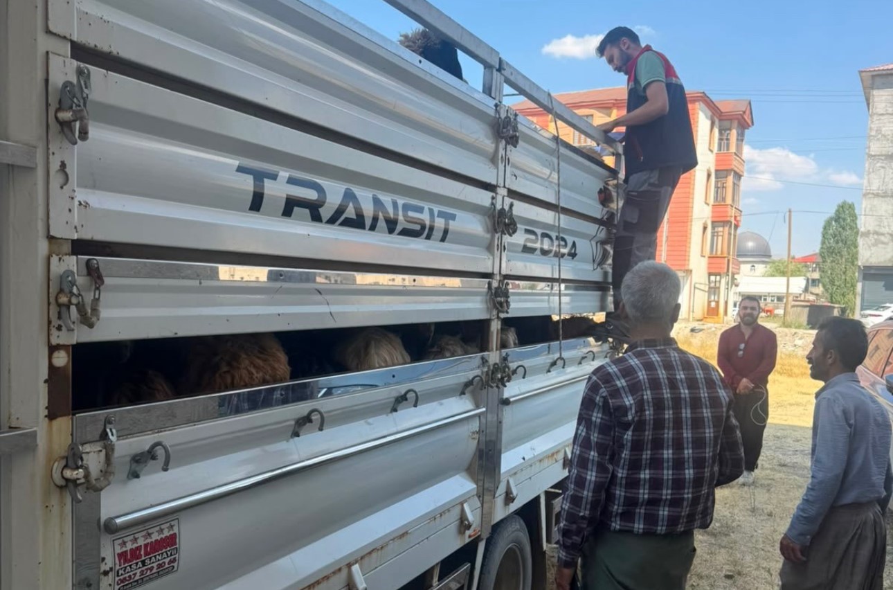 Yüksekova’da hayvan sağlığı için yol kontrolleri sürüyor