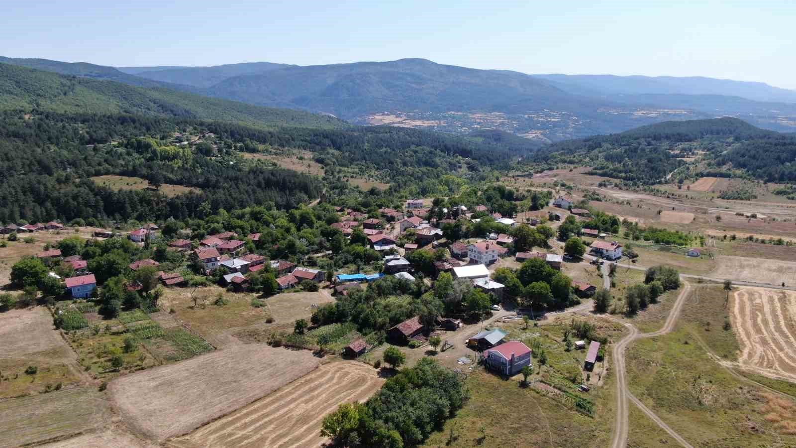 Merakı kadın girişimcinin mesleği oldu, ürettiği bal ve arı sütü için her hafta 900 kilometre yol kat ediyor