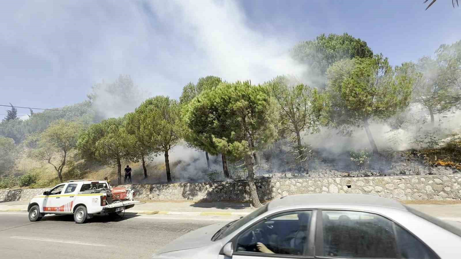 Yol kenarında başlayan yangın ormana sıçradı, ekiplerin müdahalesiyle söndürüldü