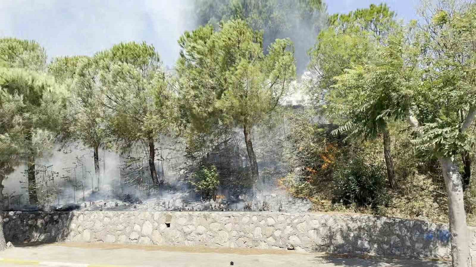 Yol kenarında başlayan yangın ormana sıçradı, ekiplerin müdahalesiyle söndürüldü