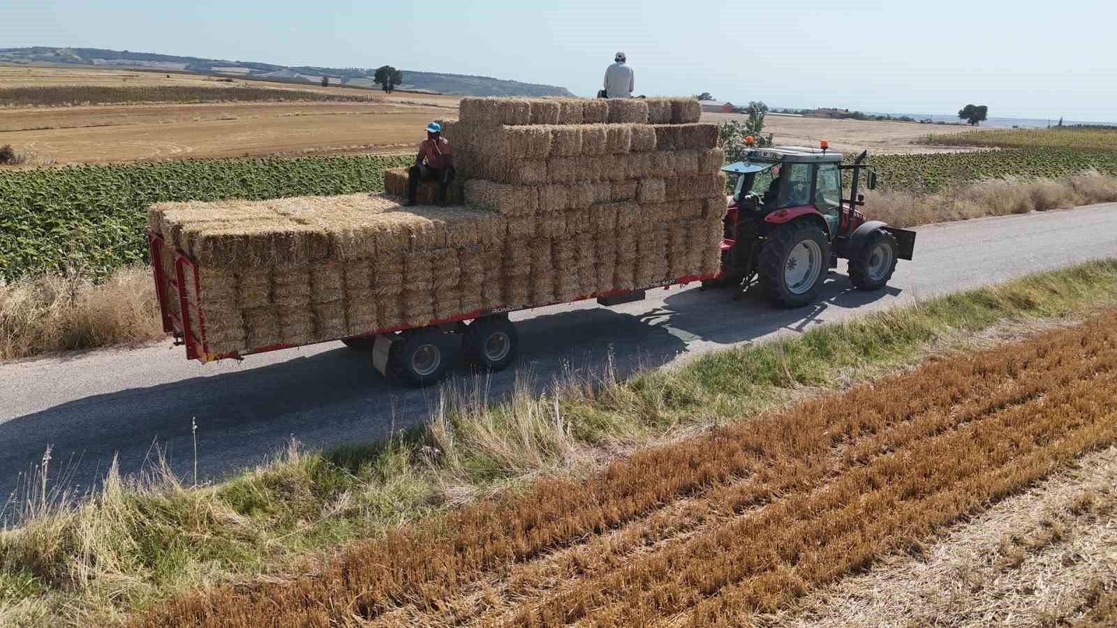 Edirne’de balya işçilerinin sıcak havada zorlu mesaisi