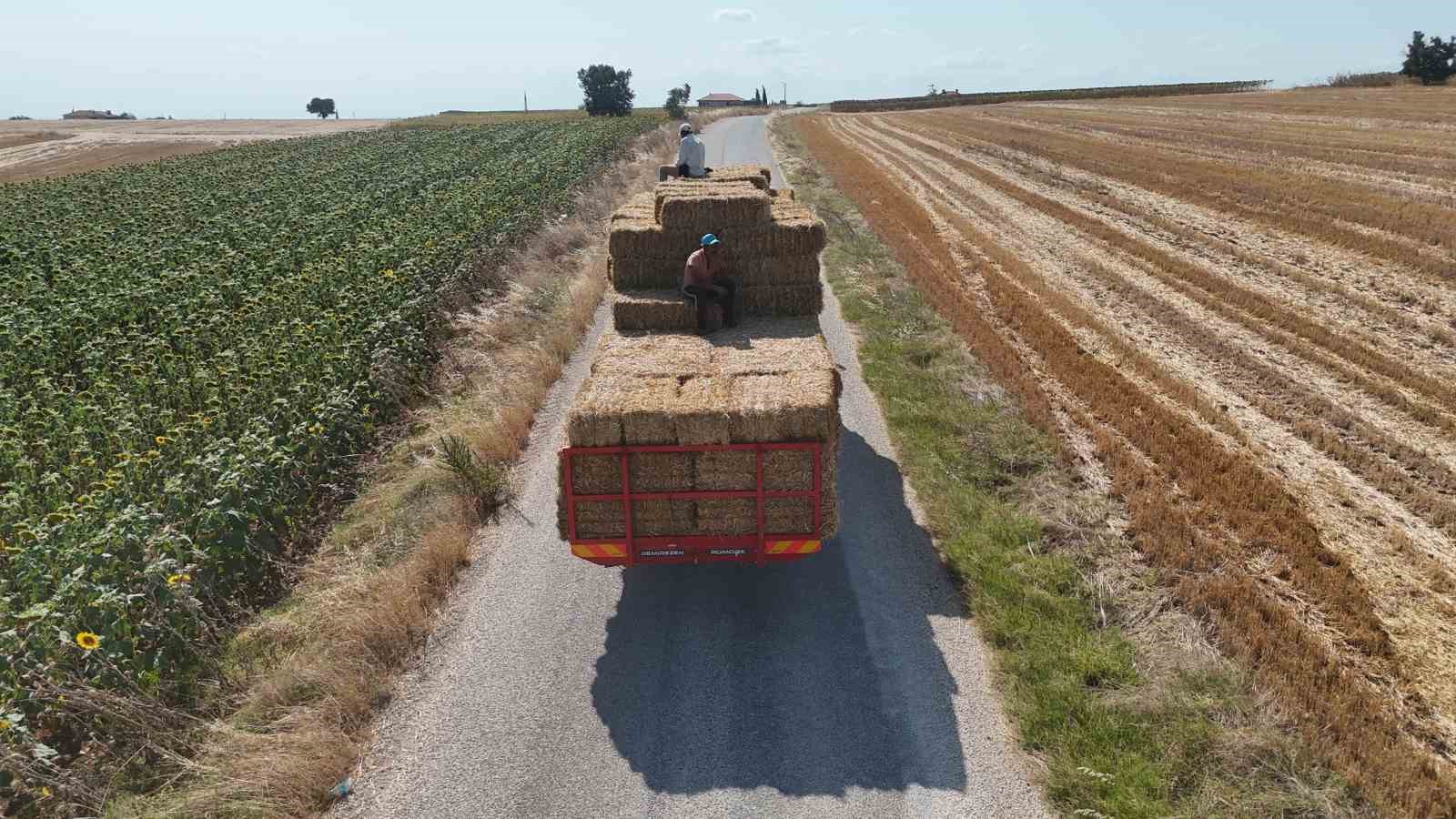 Edirne’de balya işçilerinin sıcak havada zorlu mesaisi