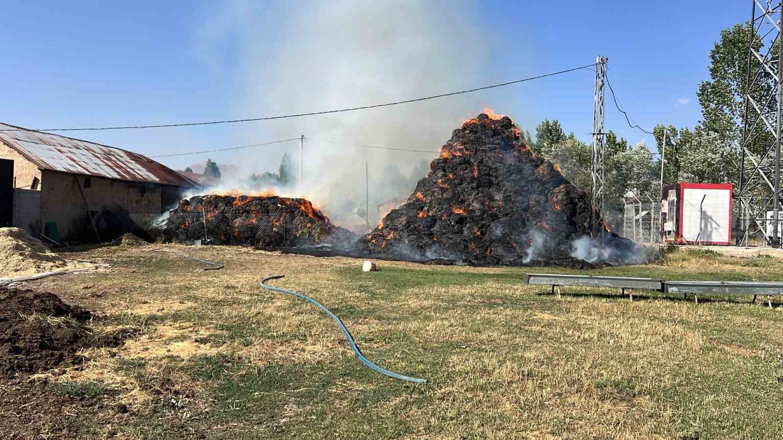 Yüksekova’da 6 bin 500 bağ ot kül oldu
