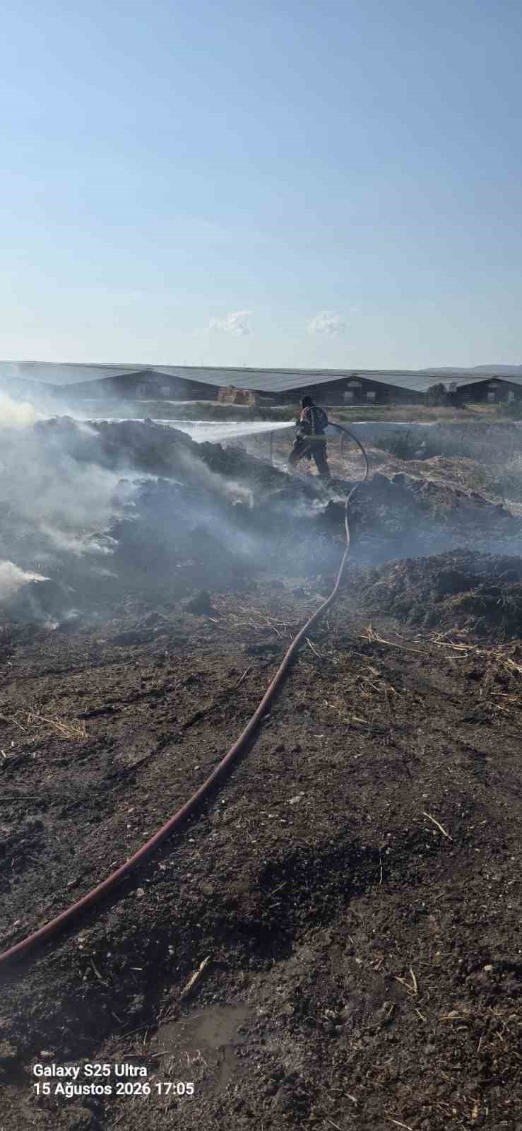 Bandırma’da besi çiftliği yakınında otluk alanda yangın