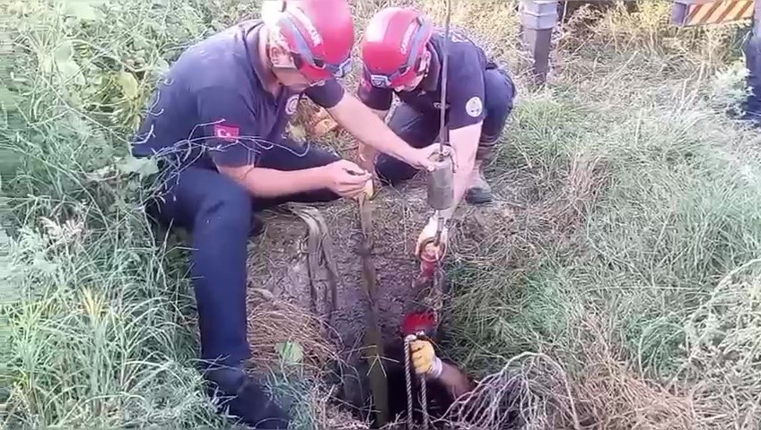 Kuyuya düşen ineği itfaiye kurtardı, sahibi ekiplere sarılıp gözyaşı döktü