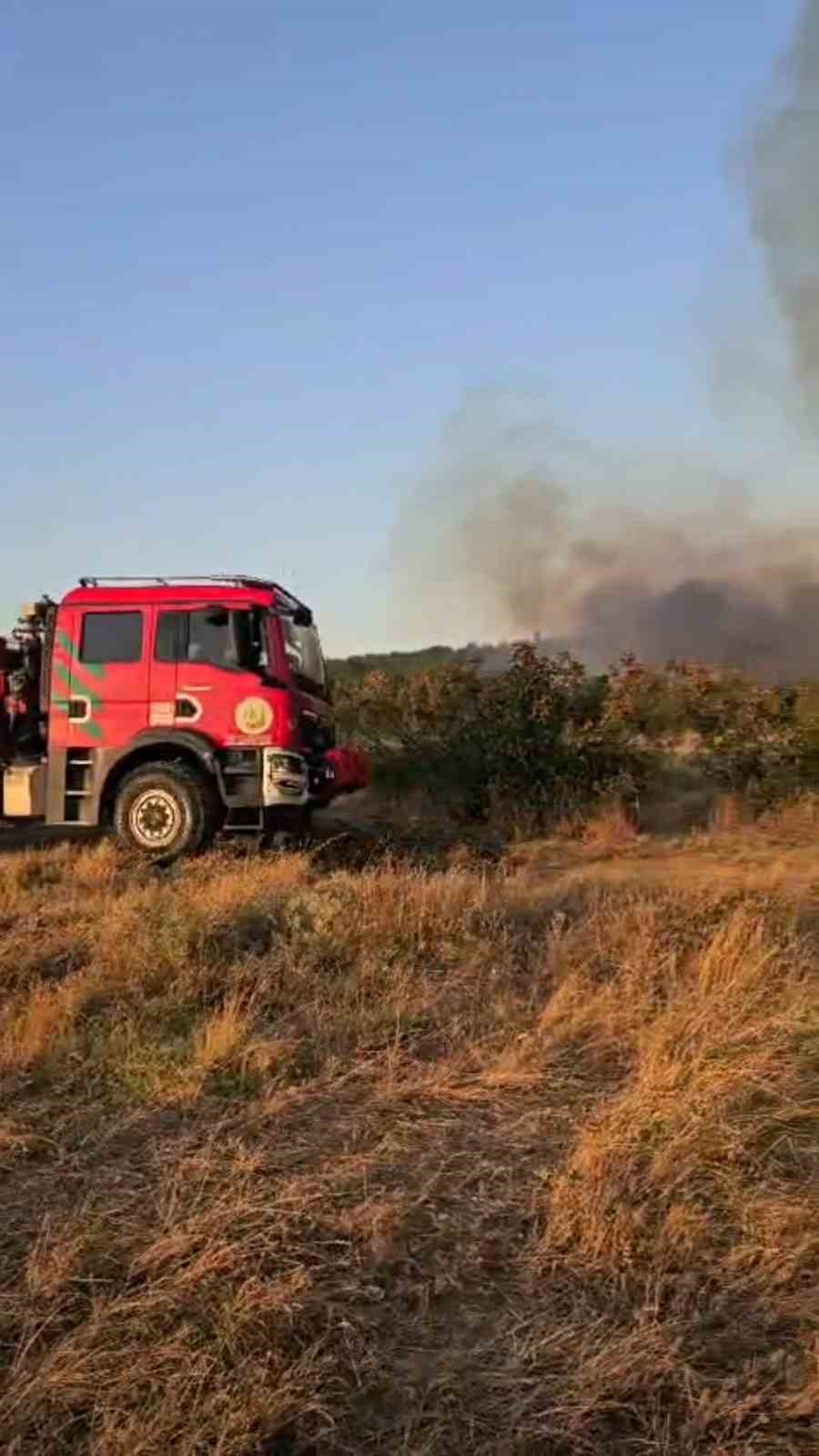 Meriç’teki yangın rüzgarın etkisiyle yayılıyor