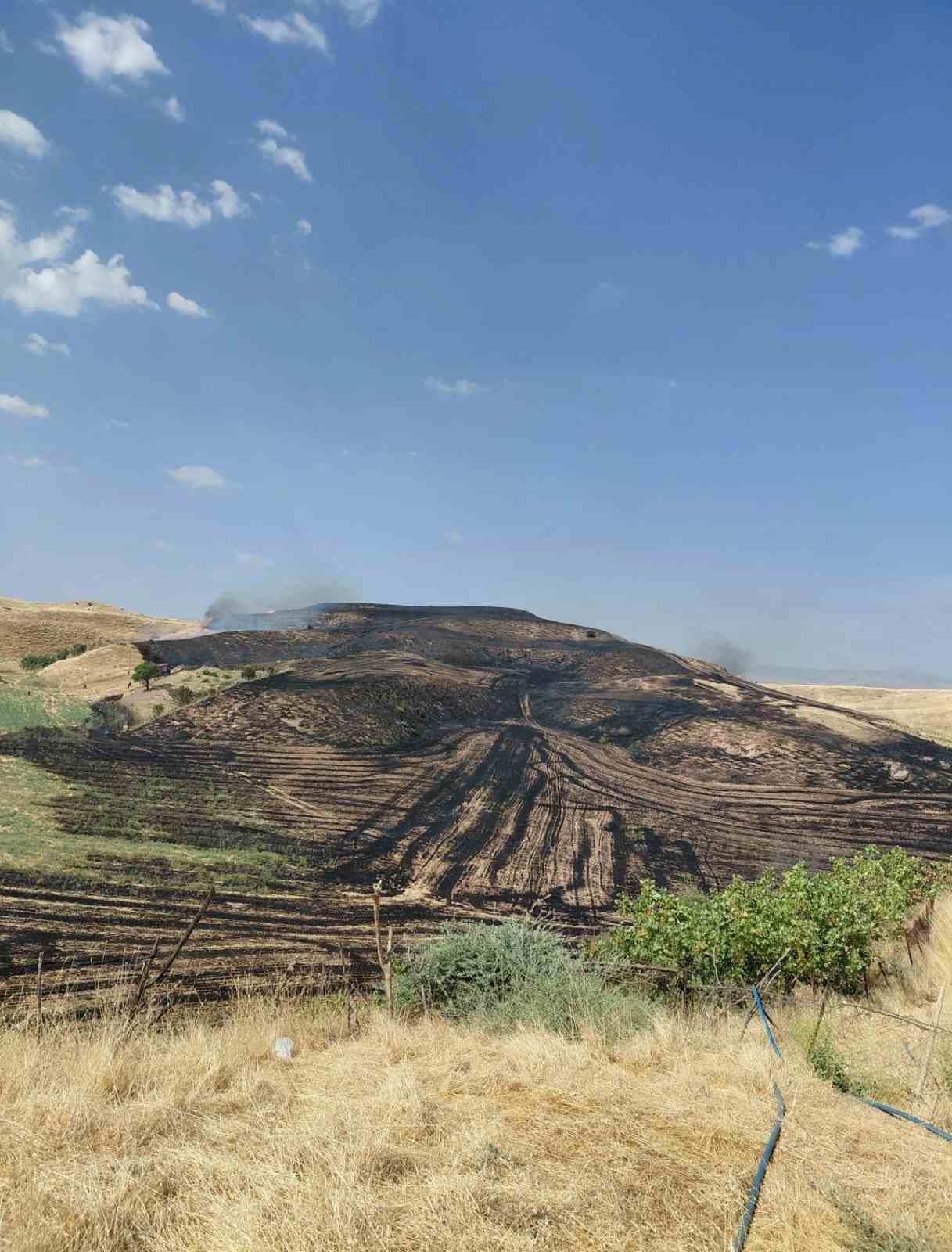 Siirt’te anız yangını meyve bahçesine sıçradı, 100 ağaç zarar gördü