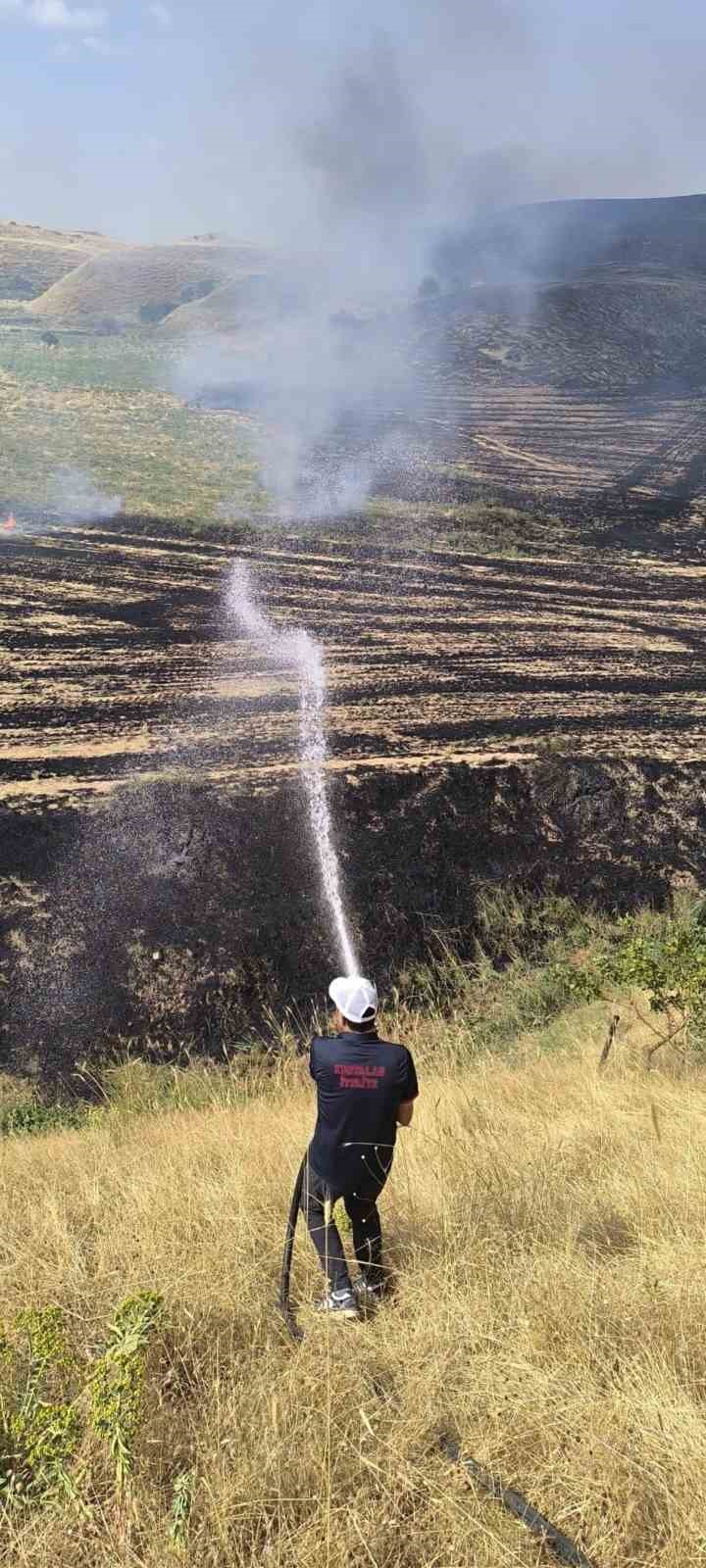 Siirt’te anız yangını meyve bahçesine sıçradı, 100 ağaç zarar gördü