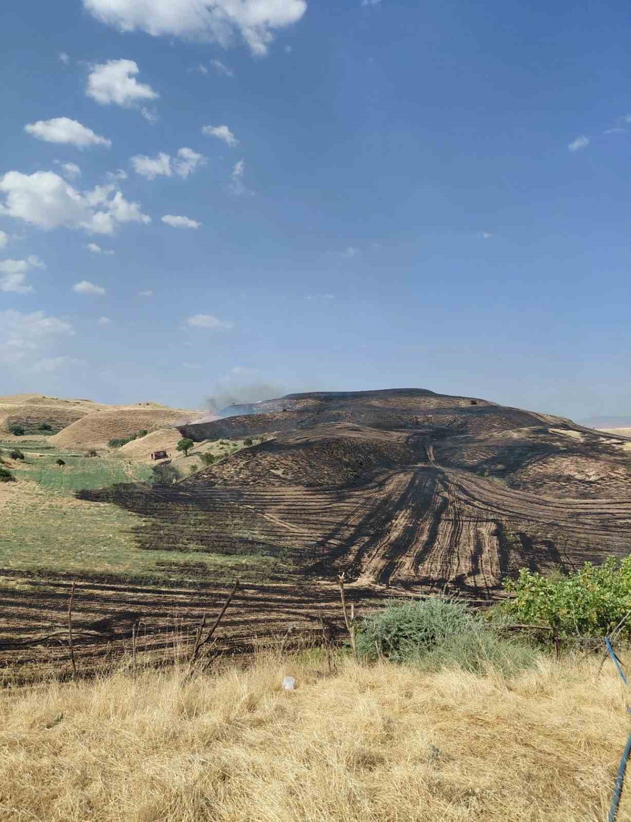 Siirt’te anız yangını meyve bahçesine sıçradı, 100 ağaç zarar gördü