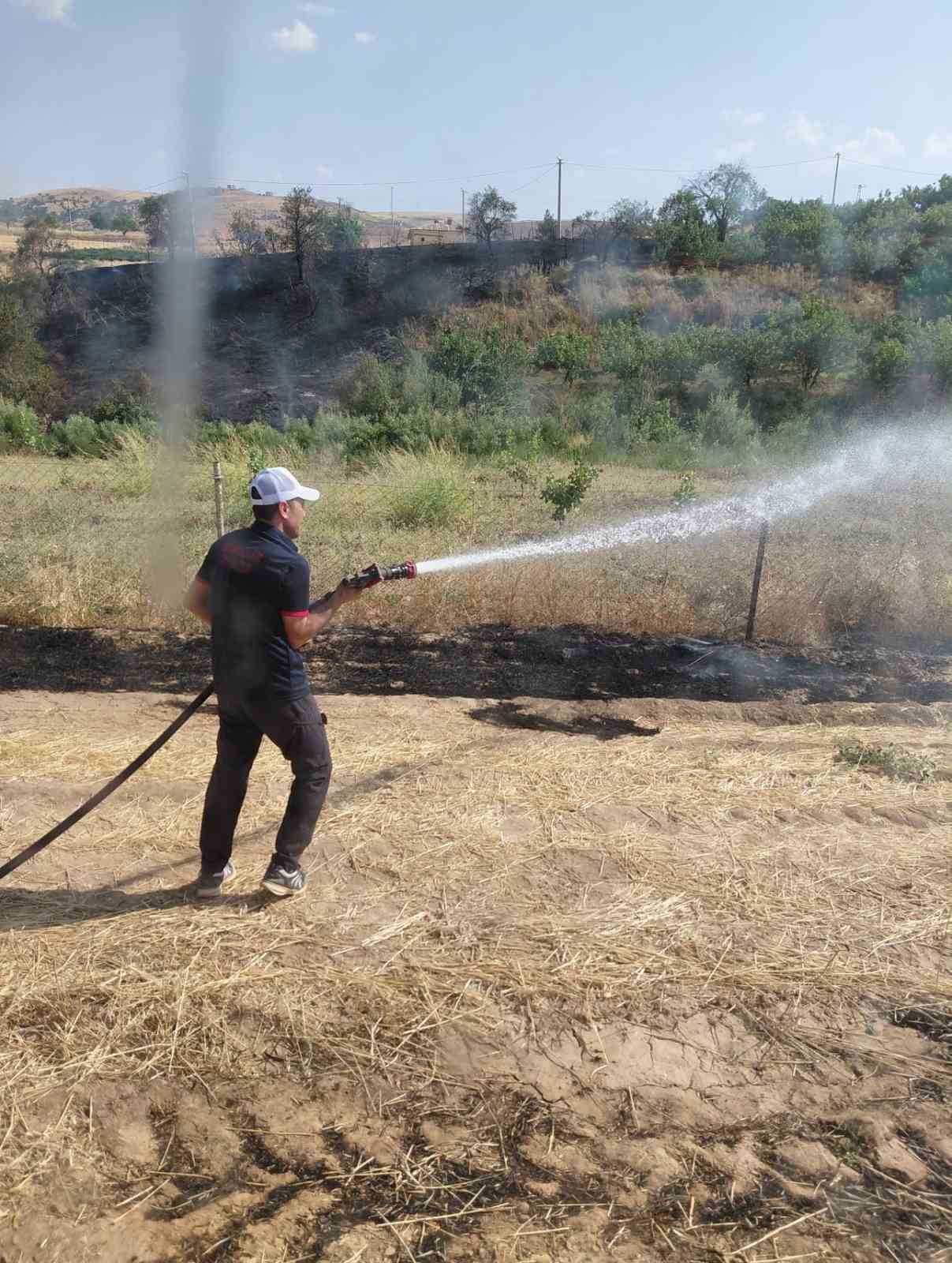Siirt’te anız yangını meyve bahçesine sıçradı, 100 ağaç zarar gördü