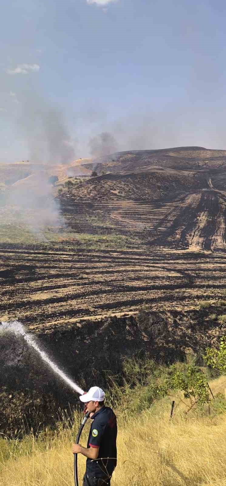 Siirt’te anız yangını meyve bahçesine sıçradı, 100 ağaç zarar gördü