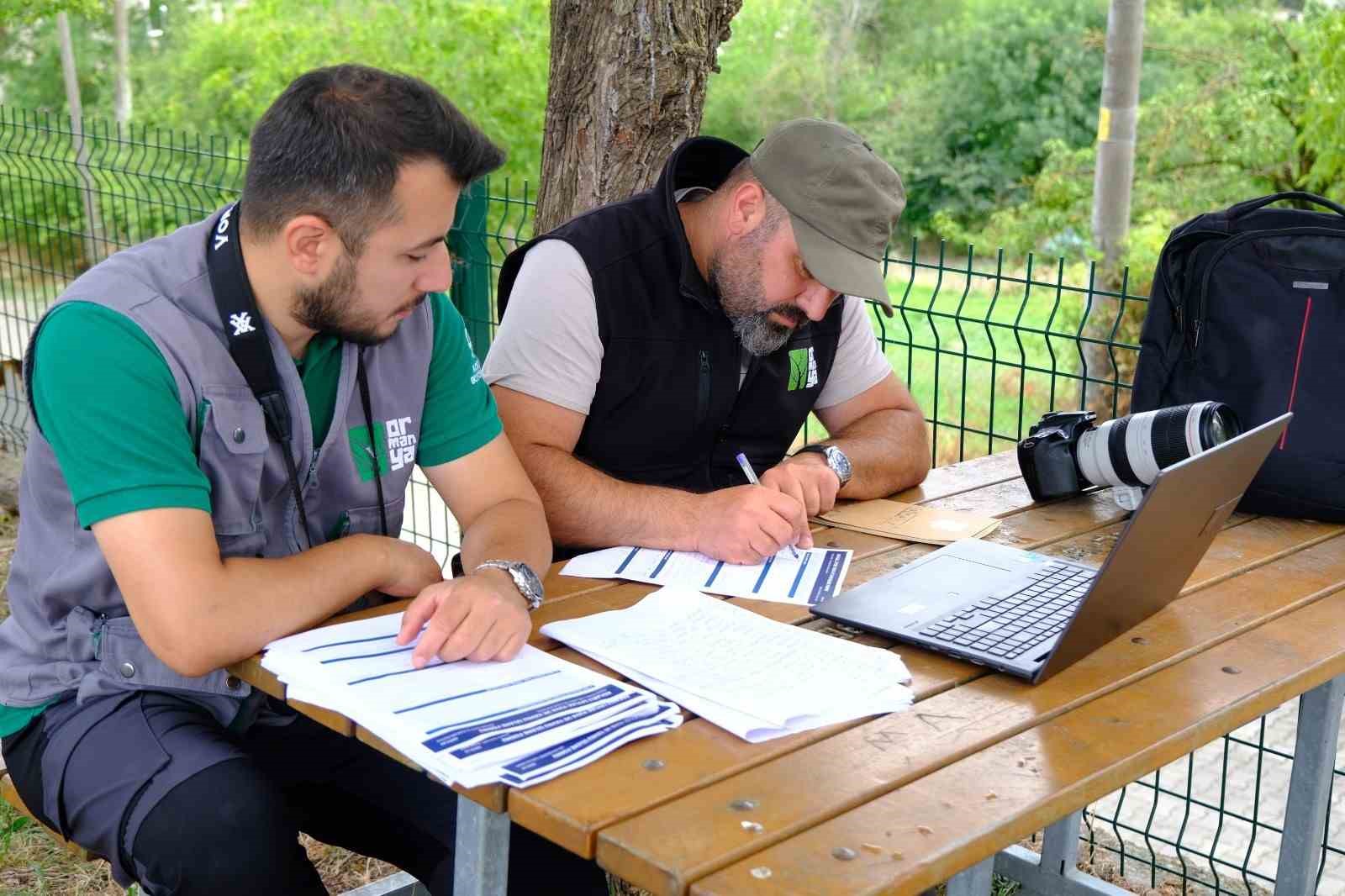 Kocaeli’de leylek yuvaları mercek altında
