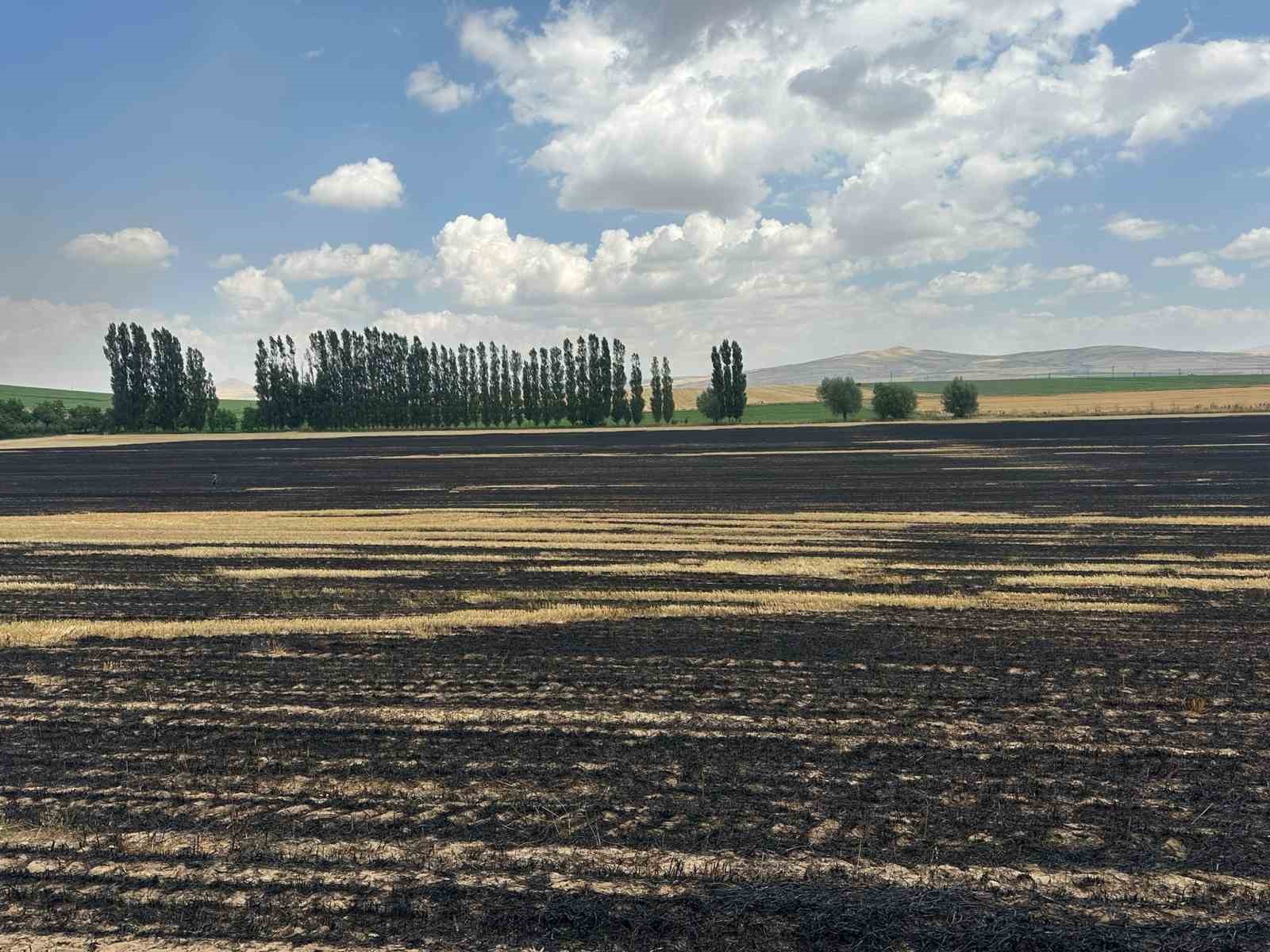 Bitlis’te örtü yangını: 400 dönüm alan küle döndü