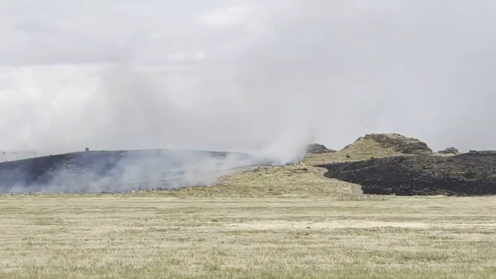 Ahlat-Tatvan yolunda otluk alanda yangın paniği