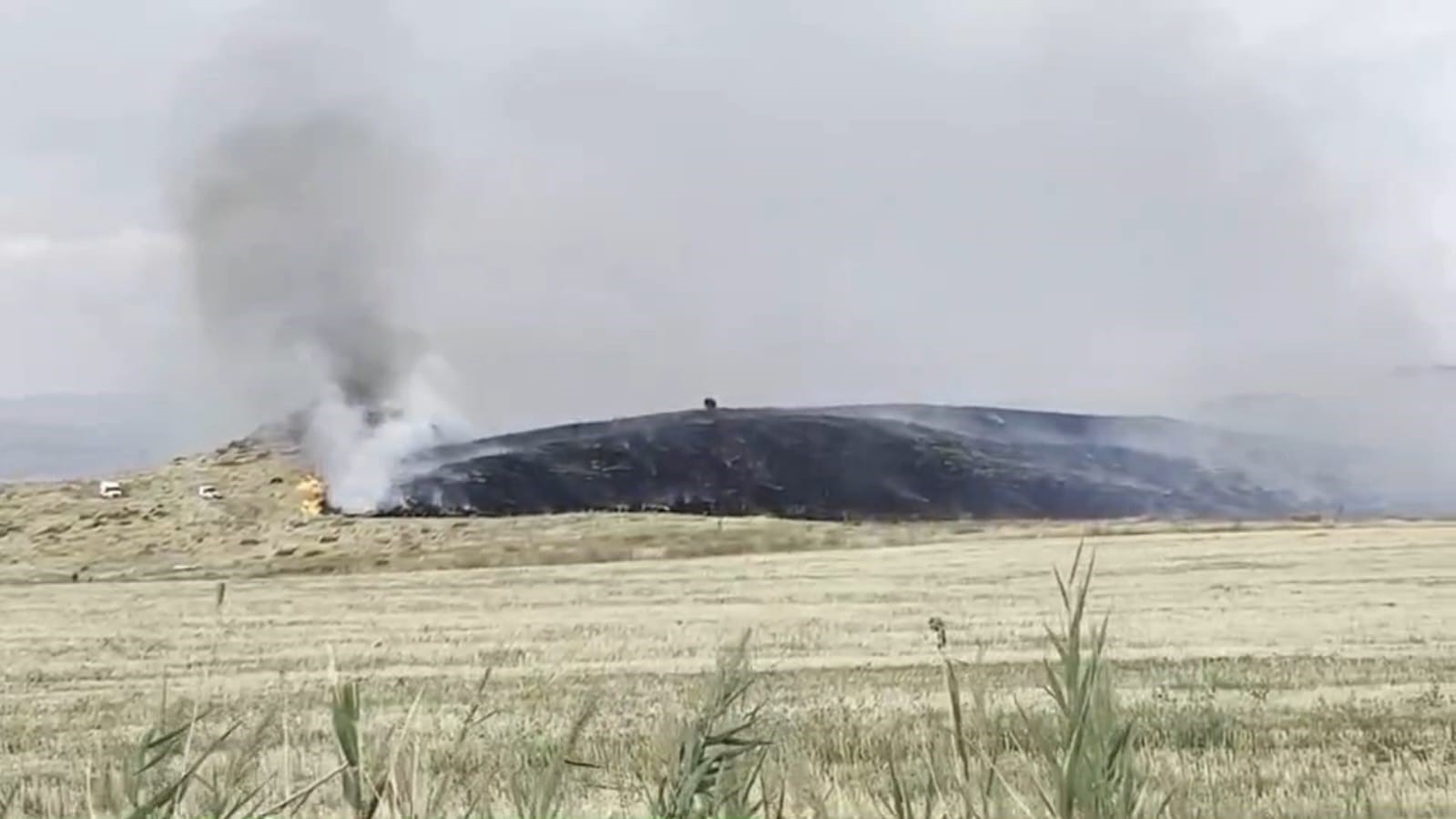 Ahlat-Tatvan yolunda otluk alanda yangın paniği