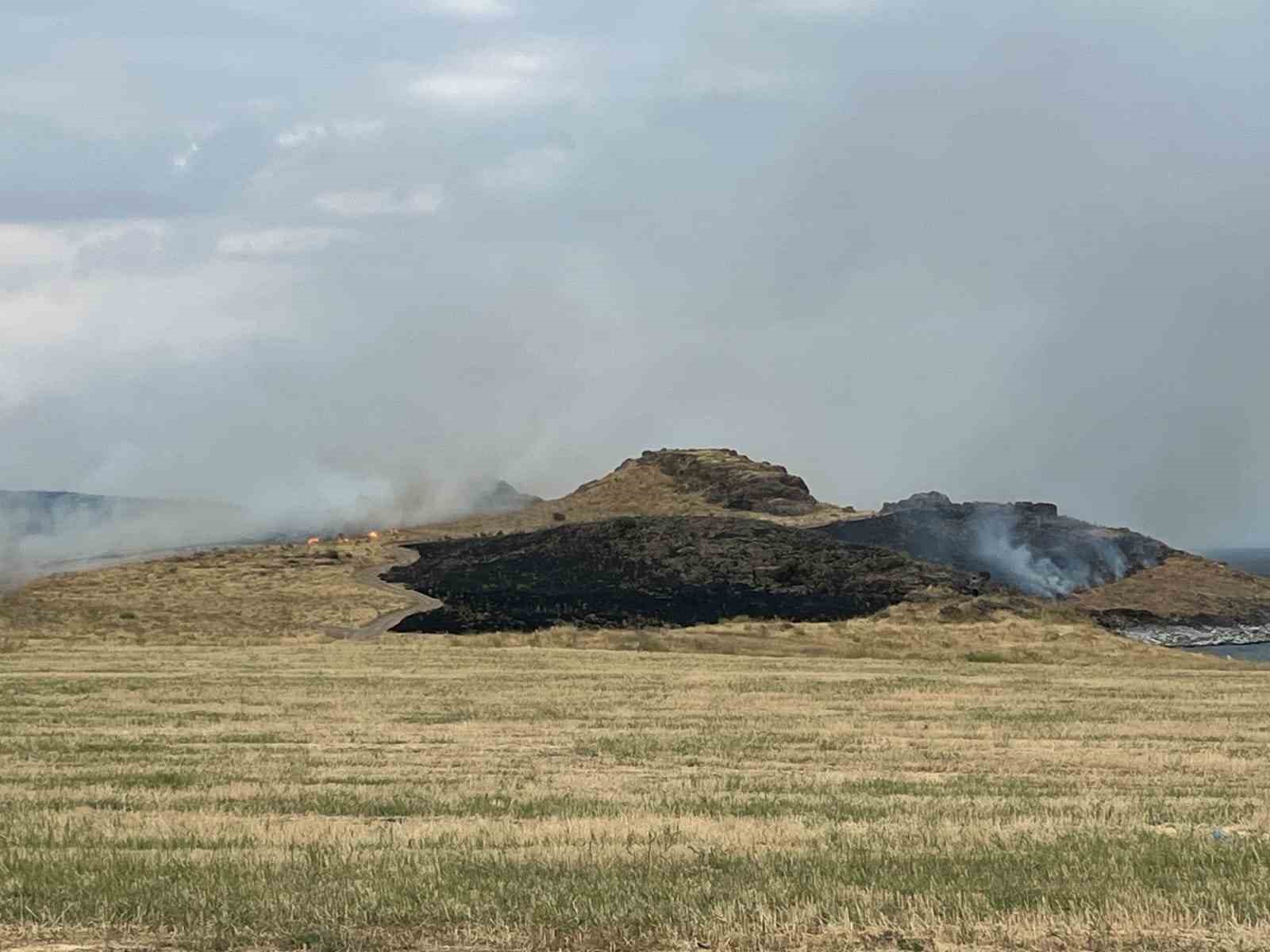Ahlat-Tatvan yolunda otluk alanda yangın paniği