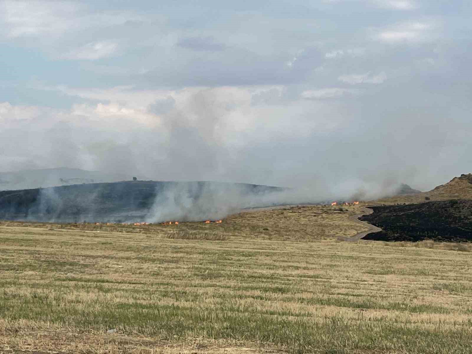Ahlat-Tatvan yolunda otluk alanda yangın paniği