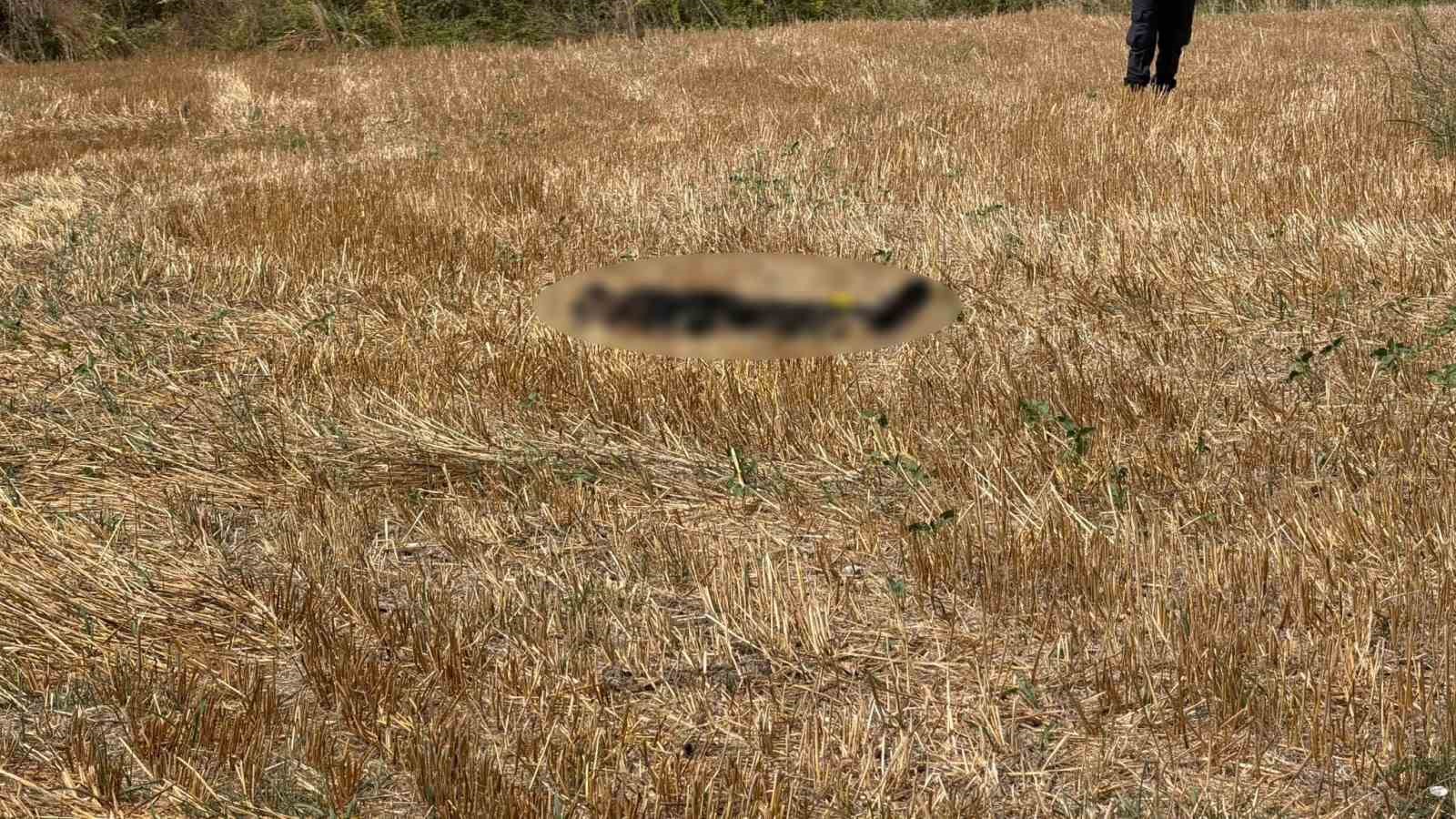 İstanbul’da kayıp olan yaşlı adamın cesedi 15 gün sonra Bursa’da bulundu