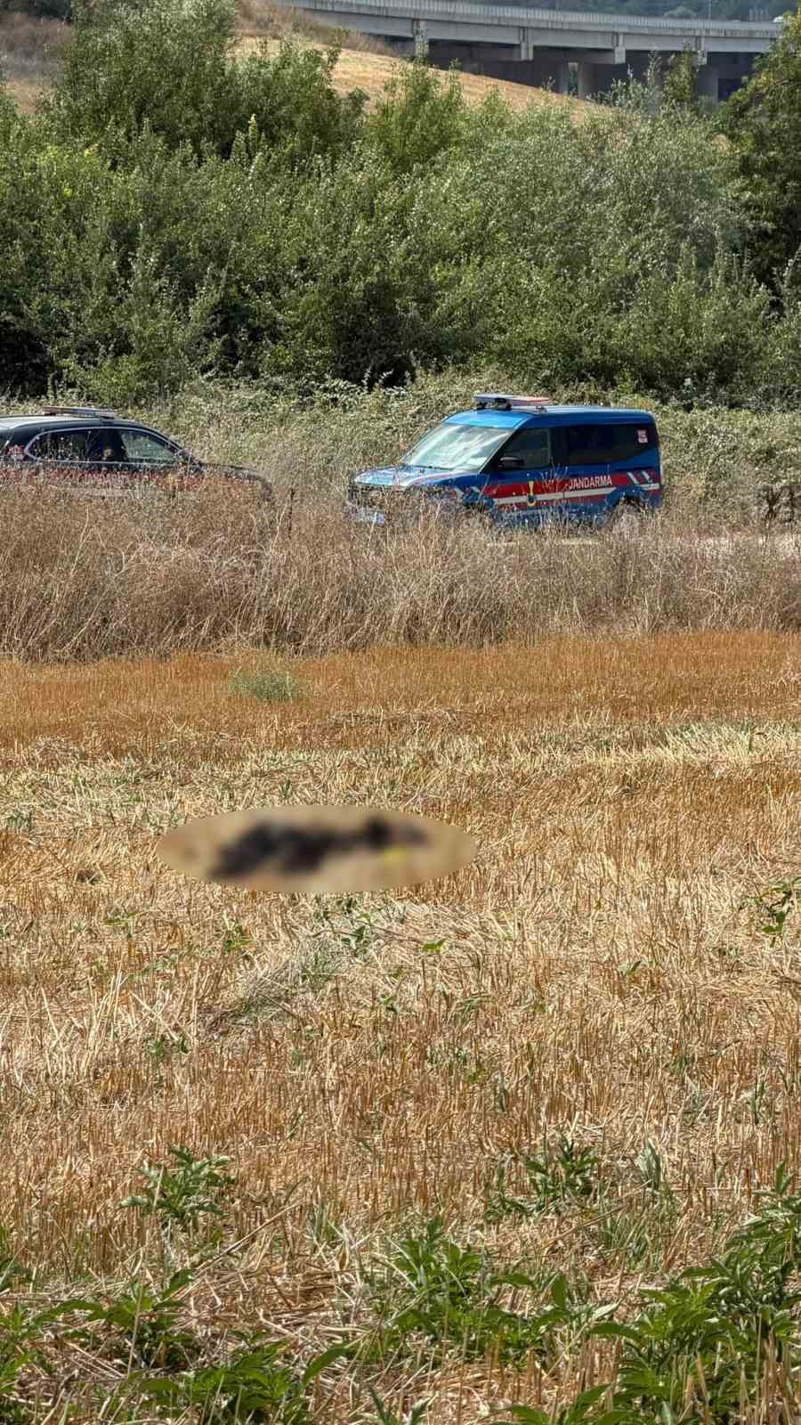İstanbul’da kayıp olan yaşlı adamın cesedi 15 gün sonra Bursa’da bulundu