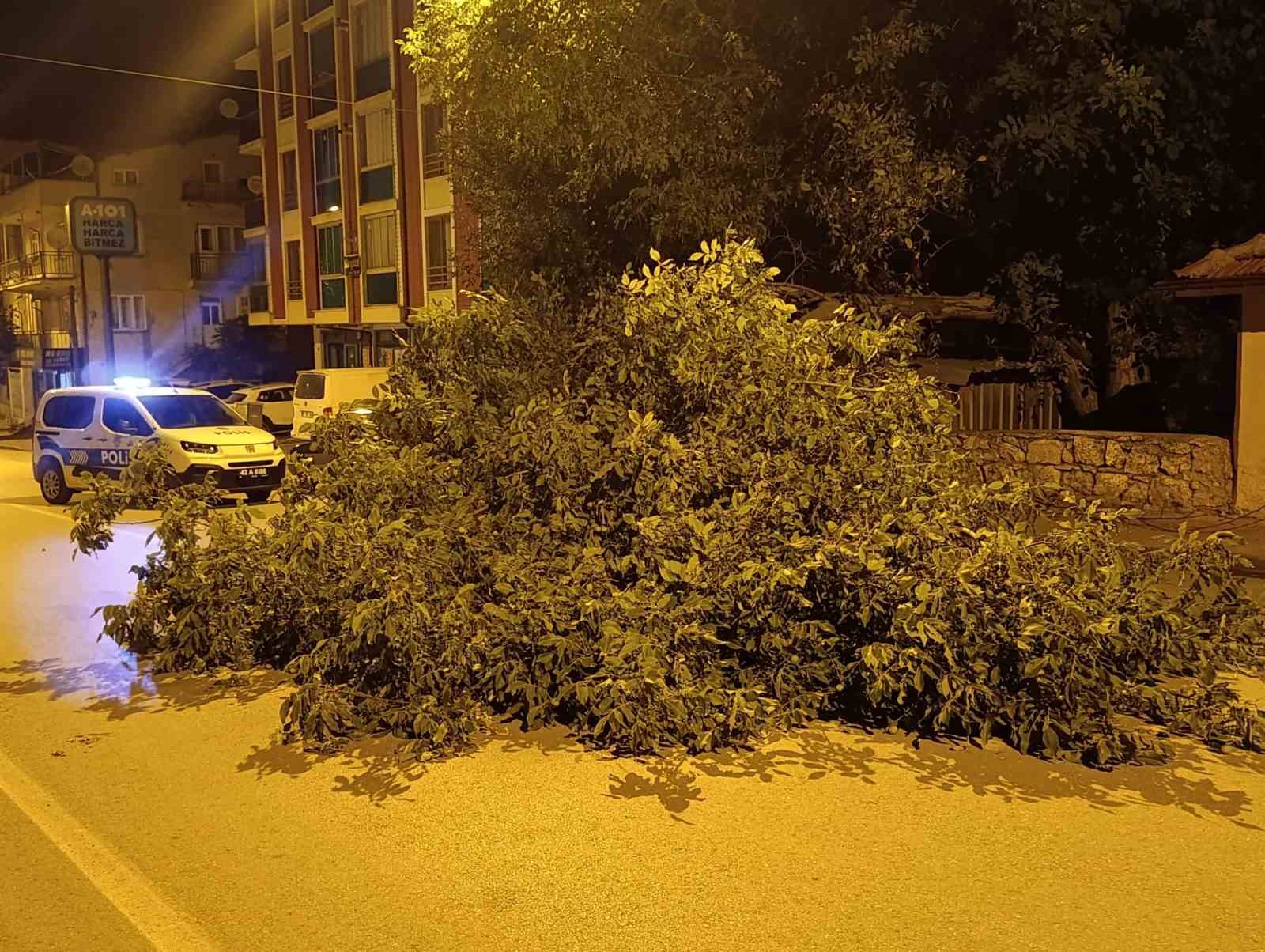 Beyşehir’de yola ağaç devrildi