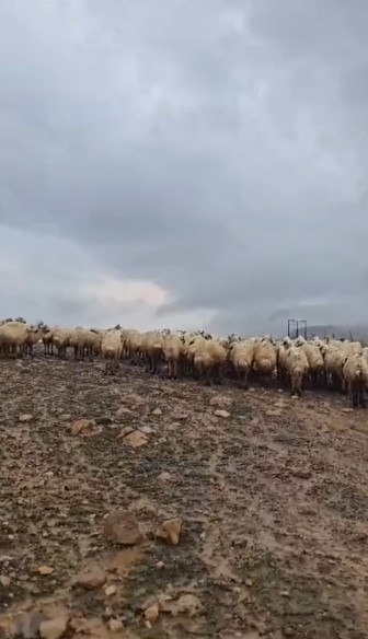 Tunceli’de selin vurduğu yaylalarda üreticiler zor anlar yaşadı