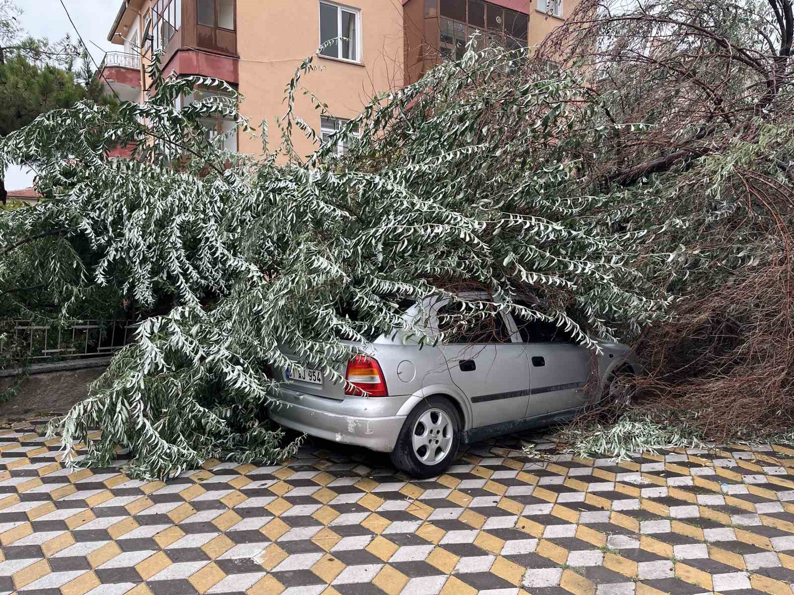 Niğde’de devrilen ağaç park halindeki aracın üzerine düştü