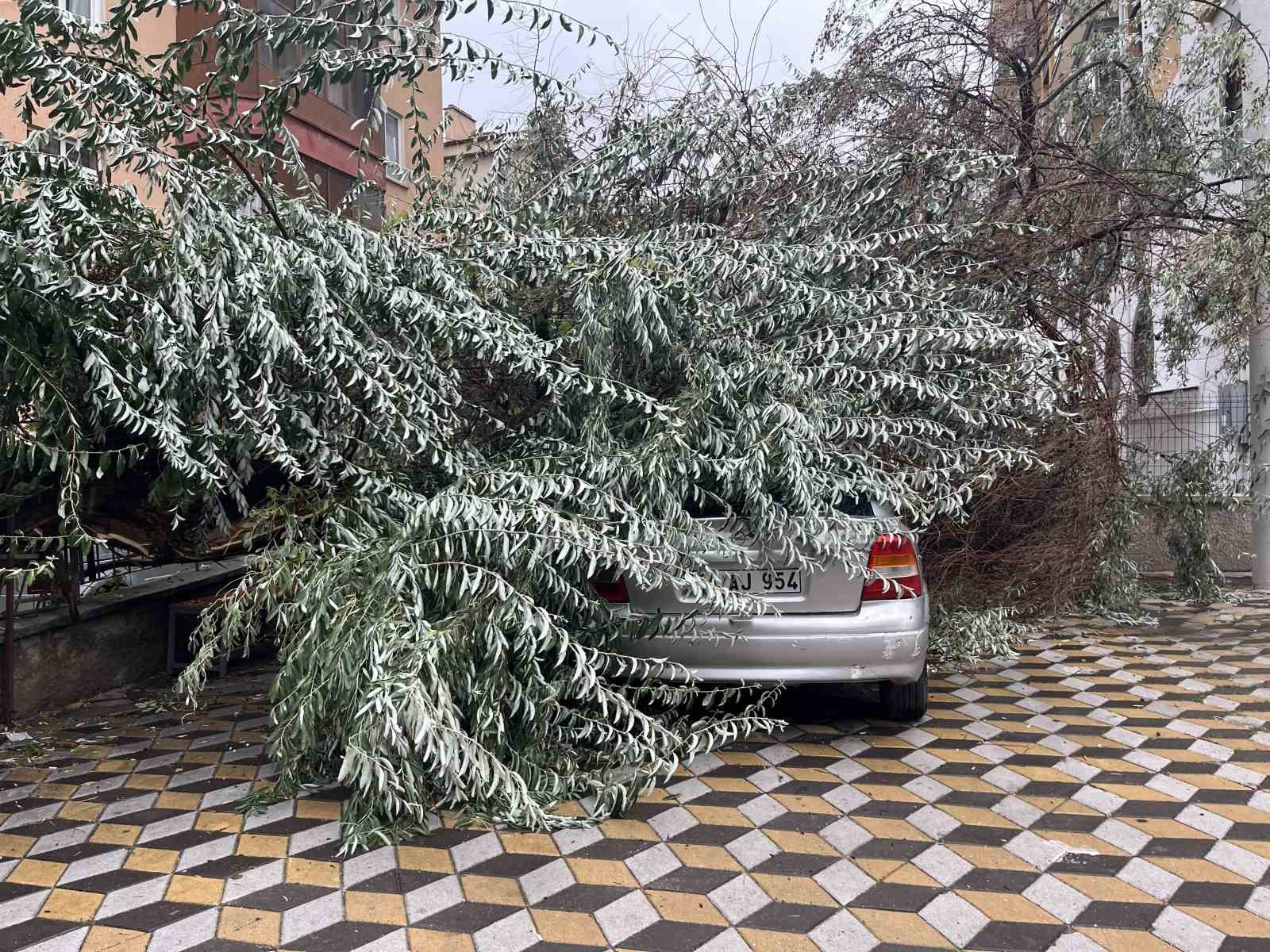 Niğde’de devrilen ağaç park halindeki aracın üzerine düştü