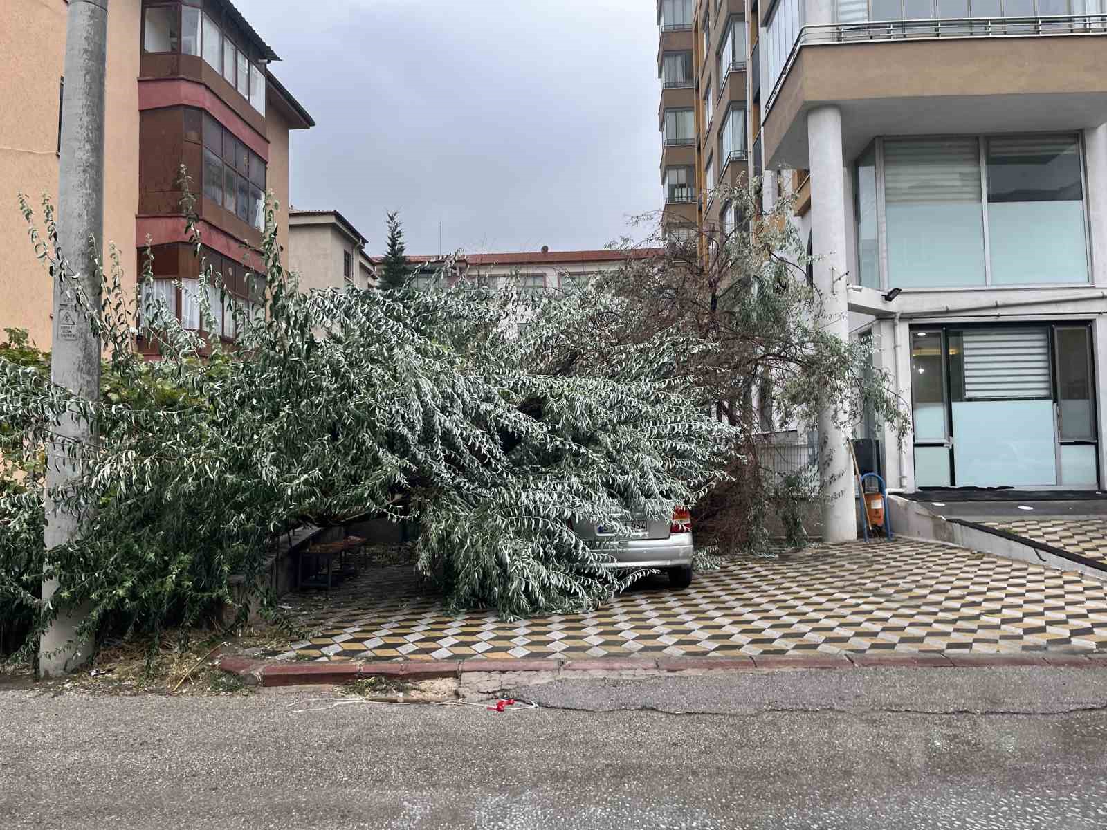 Niğde’de devrilen ağaç park halindeki aracın üzerine düştü