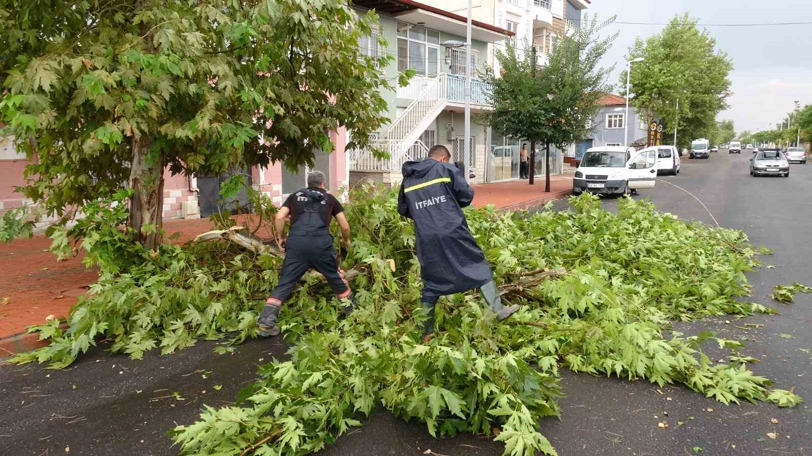 Malatya’da şiddetli fırtına ağaçları devirdi, iş yerlerinin camları patladı