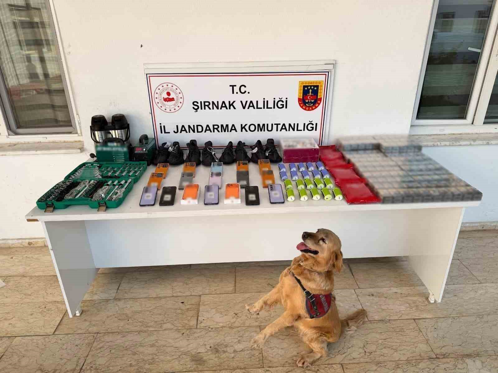 Şırnak’ta kaçakçılık operasyonu: 26 milyon liralık kaçak malzeme ele geçirildi