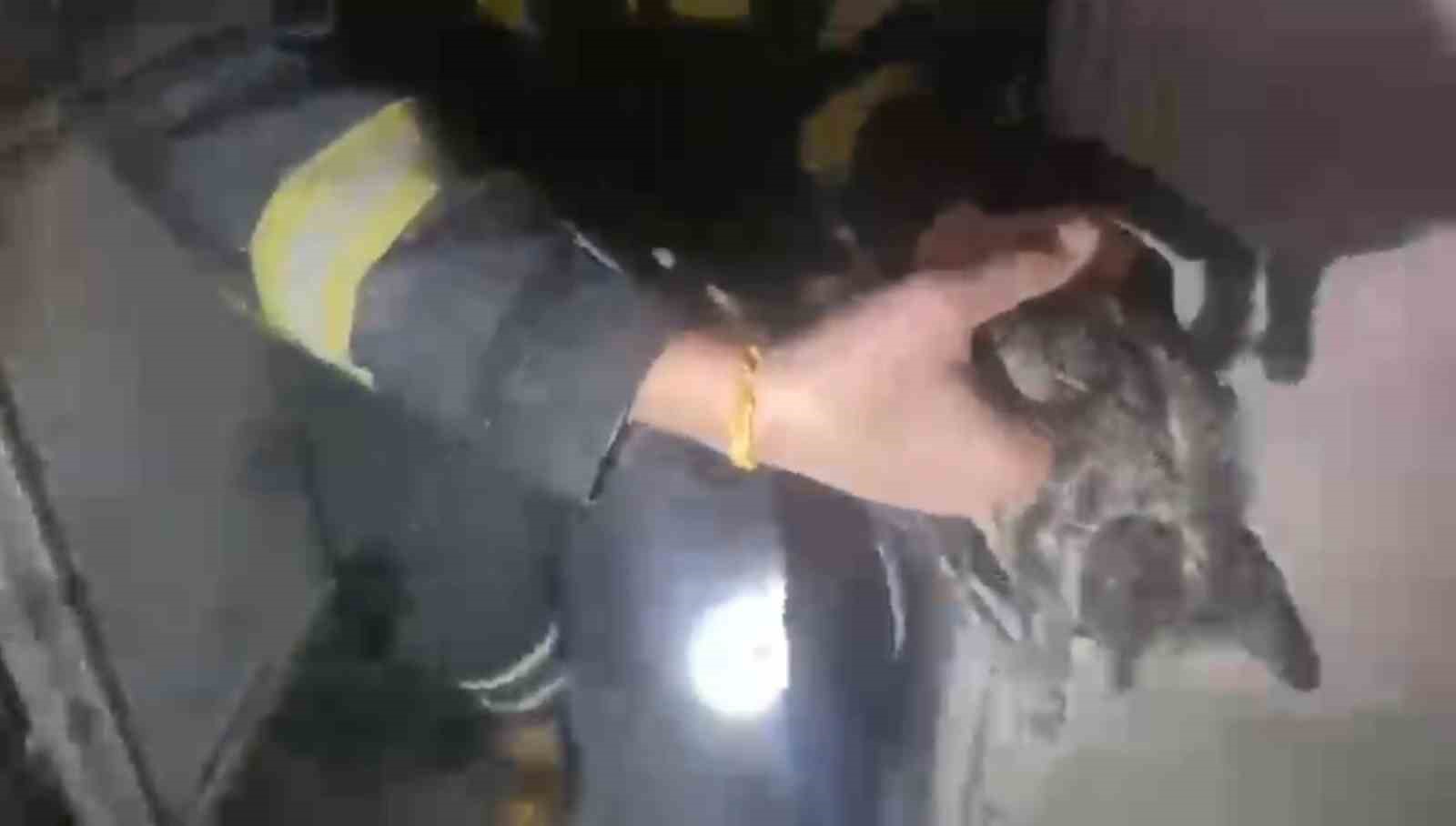 Yangında mahsur kalan kediler ekipler tarafından kurtarıldı