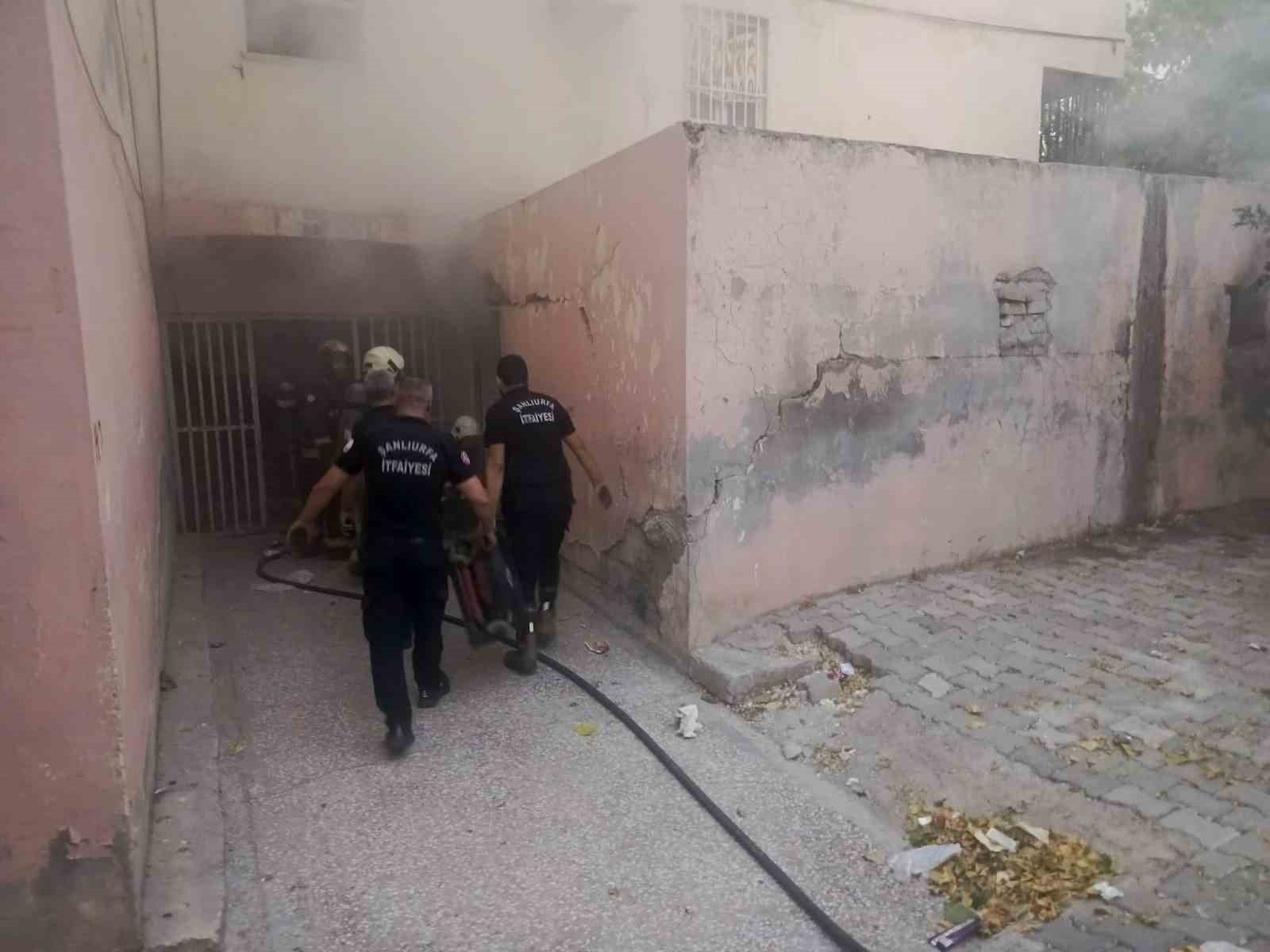 Yangında mahsur kalan kediler ekipler tarafından kurtarıldı