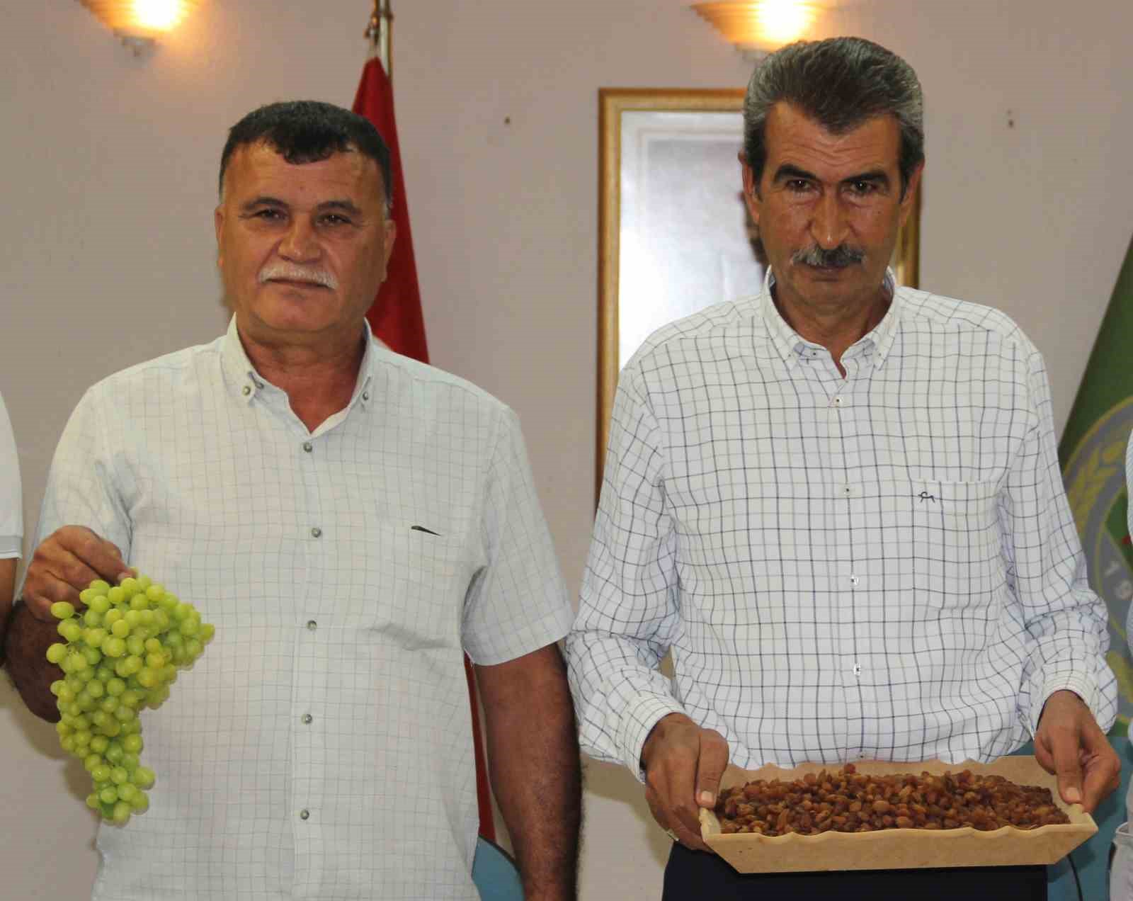 Kuru üzüm üreticisinden taban fiyat çağrısı