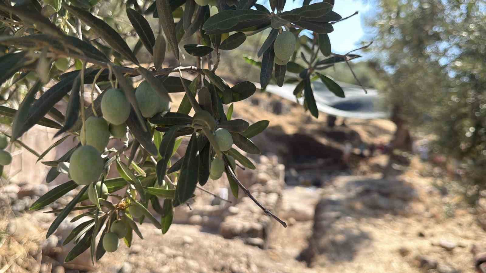 Antandros Antik Kenti’nde bin 600 yıllık kilise gün yüzüne çıkarılıyor
