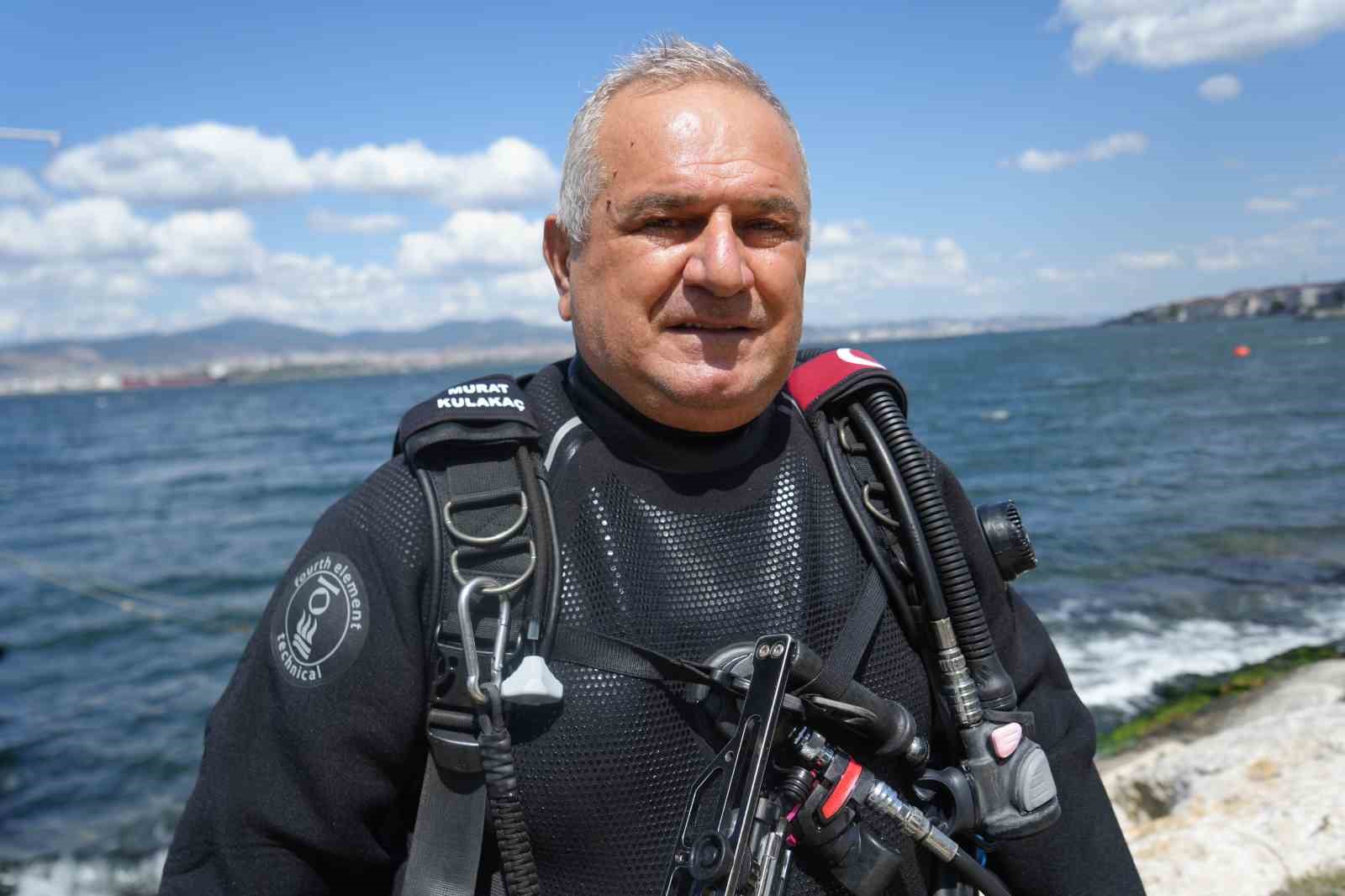 İzmit Körfezi adeta akvaryuma dönüştü: Deniz canlıları geri geldi