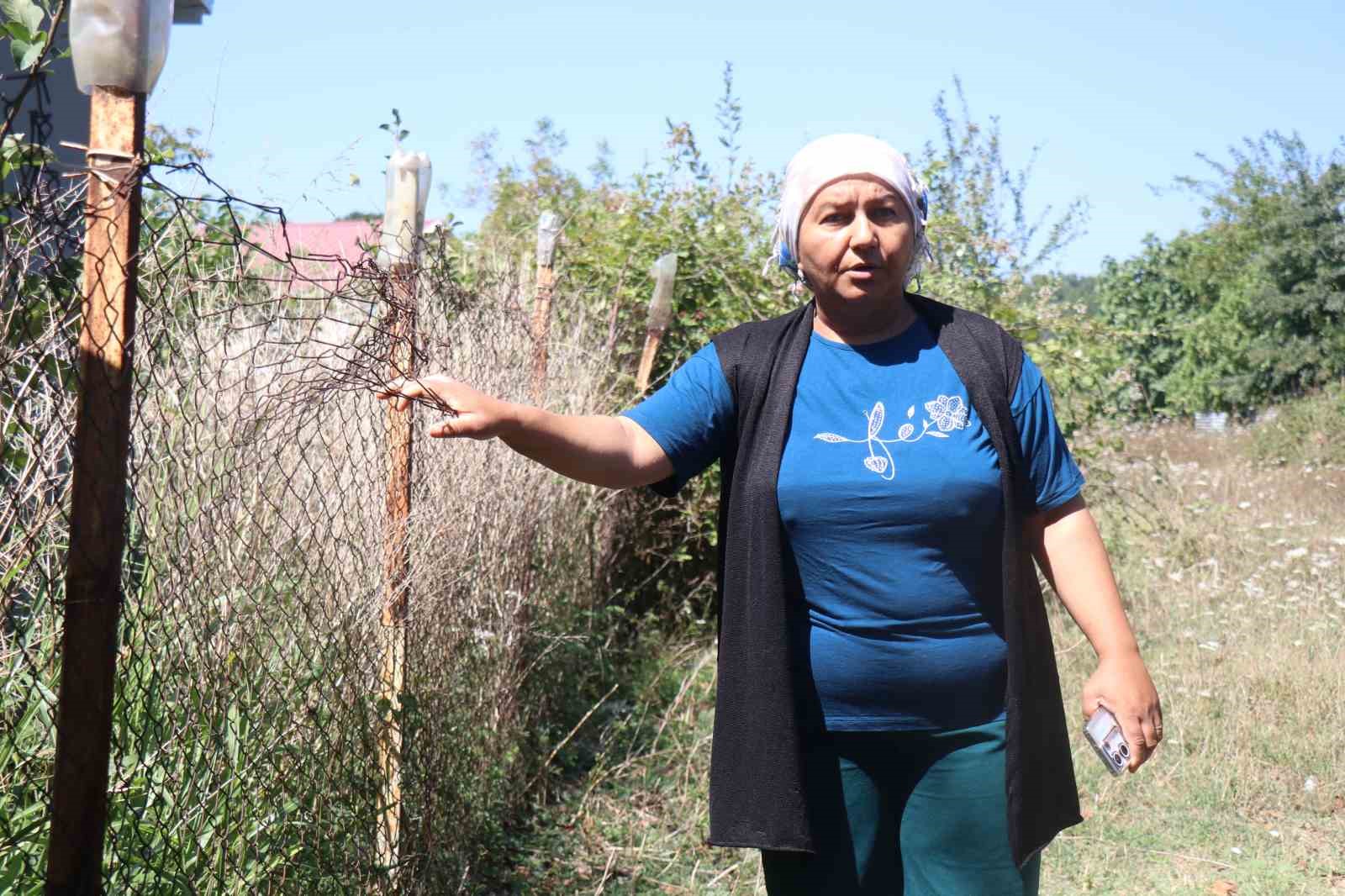 Mahallede ’Gulyabani’ nöbeti: Evleri taşlayıp lazer tutan şahıs mahalleye aylardır uyku uyutmuyor