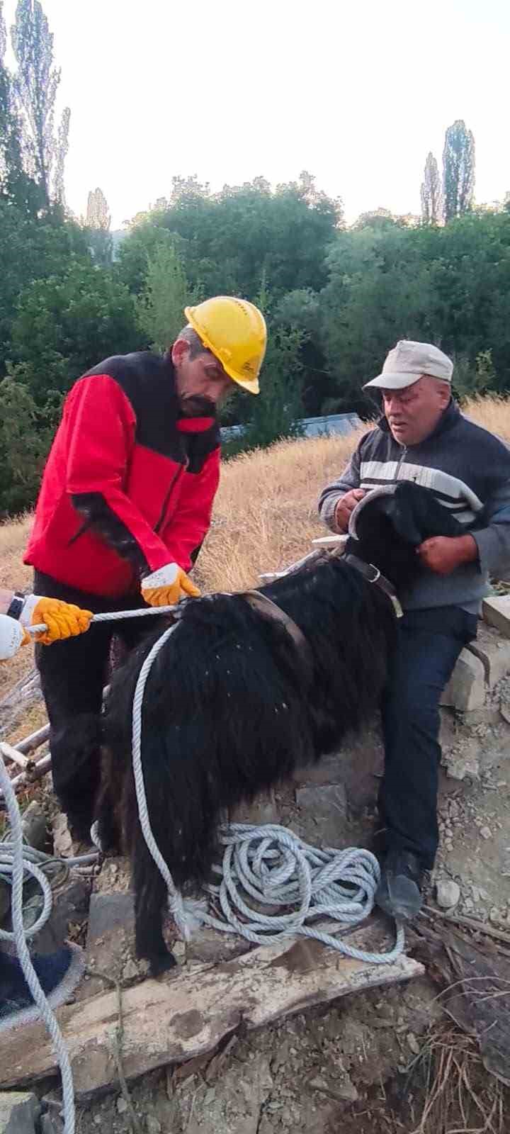 Bolu’da çukurda mahsur kalan keçiyi itfaiye ekipleri kurtardı