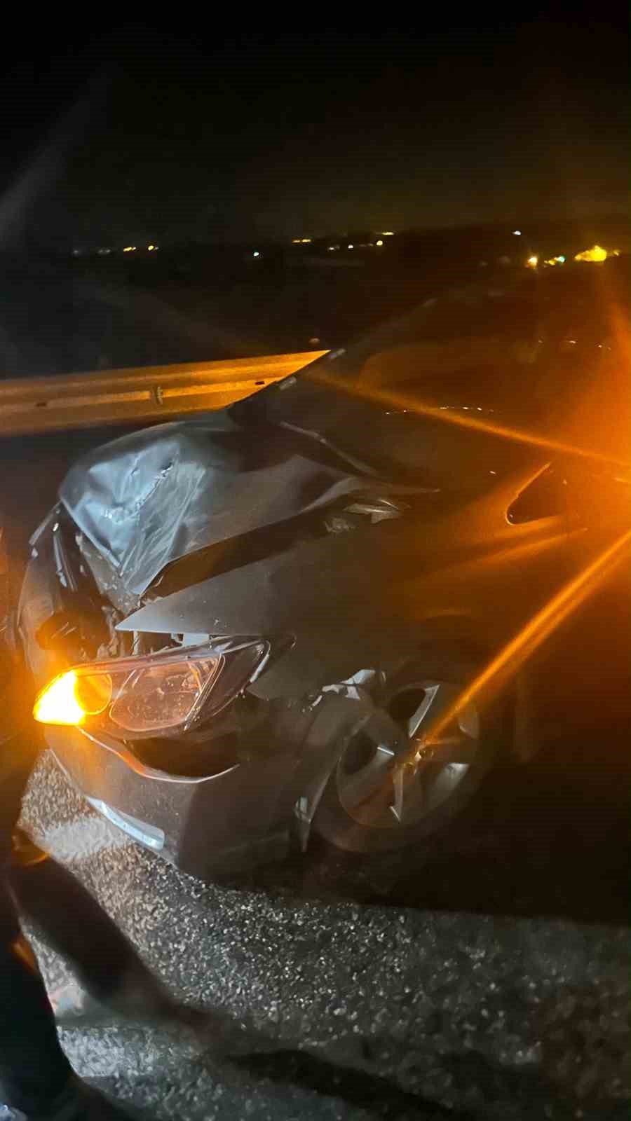 Karayolda aniden çıkan eşek kazaya neden oldu