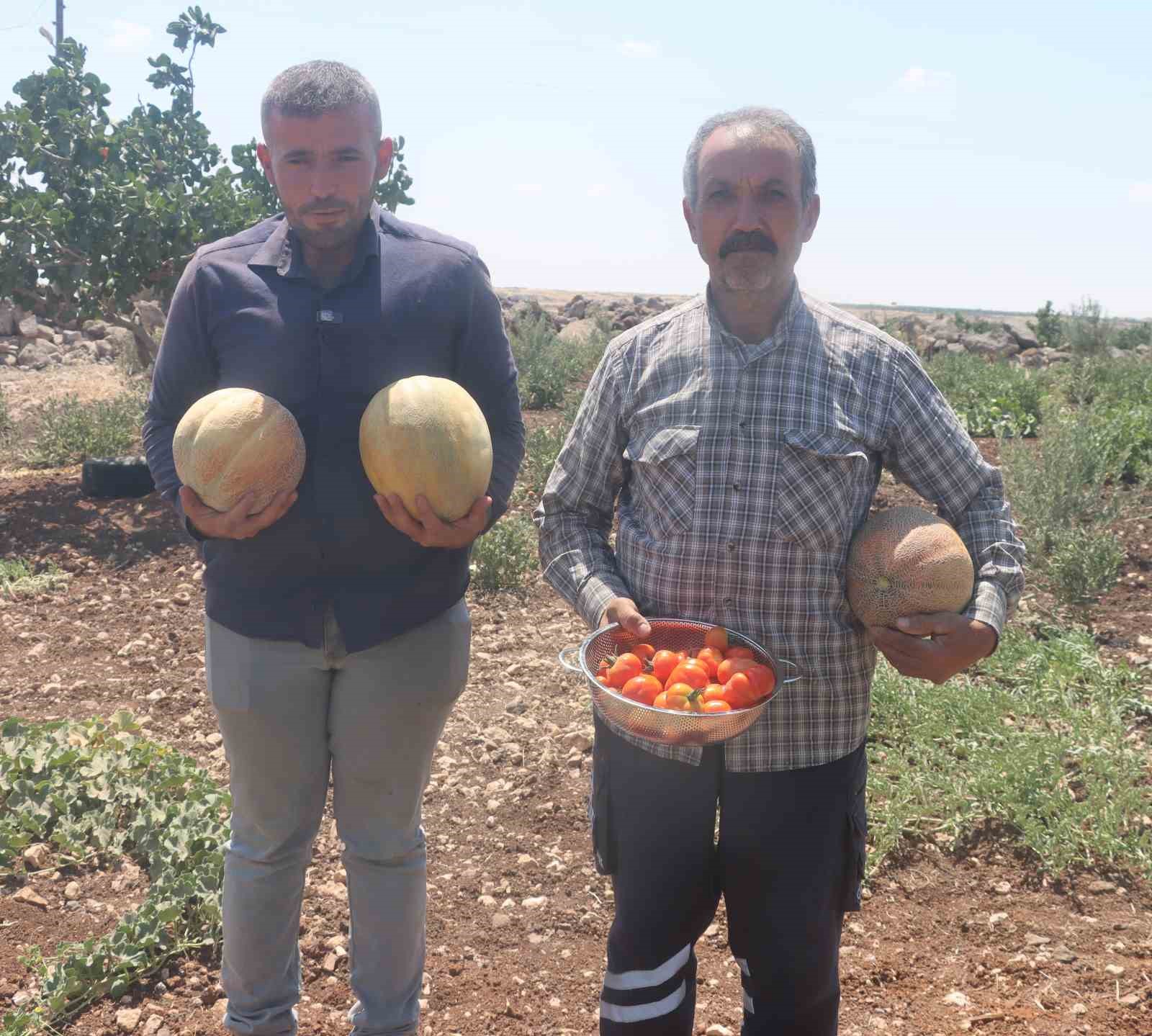 Asırlık tatlar sofralara gelmeye başladı